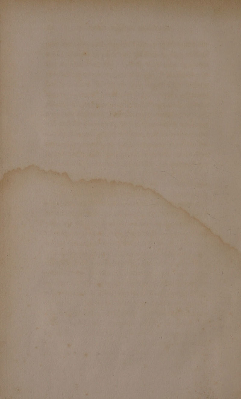 brace ay Ae *  ee roe ee a '. Ps ‘! i ' is 40 Pa eo tae a BC uN vy i vali SY a Pile oe E