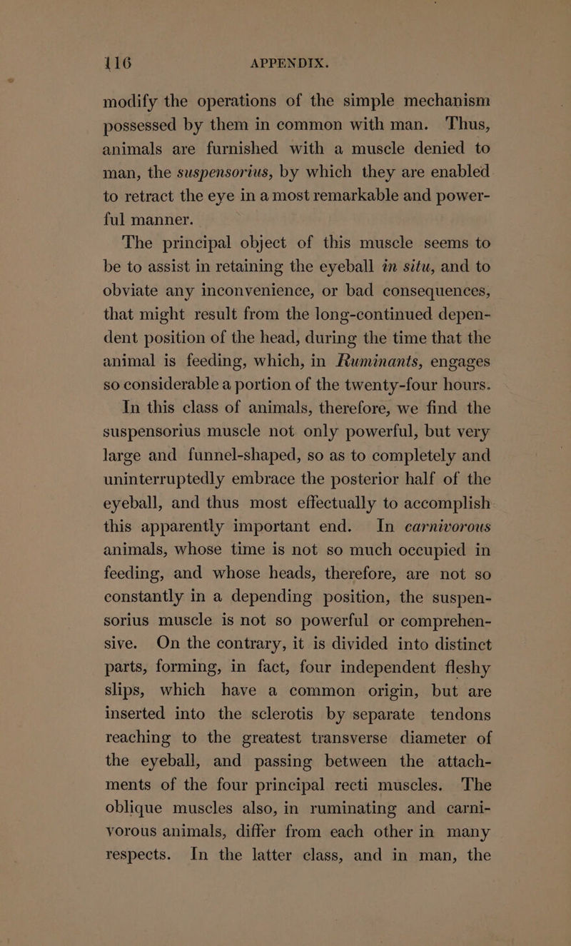 modify the operations of the simple mechanism possessed by them in common with man. Thus, animals are furnished with a muscle denied to man, the suspensorius, by which they are enabled to retract the eye in a most remarkable and power- ful manner. The principal object of this muscle seems to be to assist in retaining the eyeball in situ, and to obviate any inconvenience, or bad consequences, that might result from the long-continued depen- dent position of the head, during the time that the animal is feeding, which, in Ruminants, engages so considerable a portion of the twenty-four hours. In this class of animals, therefore, we find the suspensorius muscle not only powerful, but very large and funnel-shaped, so as to completely and uninterruptedly embrace the posterior half of the eyeball, and thus most effectually to accomplish this apparently important end. In carnivorous animals, whose time is not so much occupied in feeding, and whose heads, therefore, are not so constantly in a depending position, the suspen- sorius muscle is not so powerful or comprehen- sive. On the contrary, it is divided into distinct parts, forming, in fact, four independent fleshy slips, which have a common origin, but are inserted into the sclerotis by separate tendons reaching to the greatest transverse diameter of the eyeball, and passing between the attach- ments of the four principal recti muscles. The oblique muscles also, in ruminating and carni- vorous animals, differ from each other in many respects. In the latter class, and in man, the