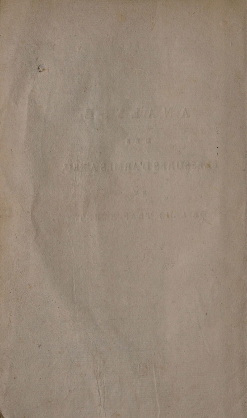 di Pypalr à uk? CEE TO AA à