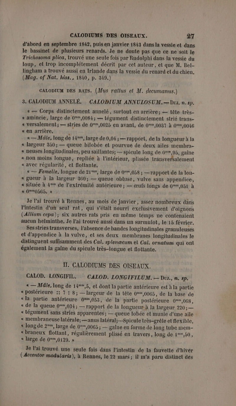 d’abord en septembre 1842, puis en janvier 1843 dans la vessie et dans le bassinet de plusieurs renards. Je ne doute pas que ce ne soit le Trichosoma plica, trouvé une seule fois par Rudolphi dans la vessie du loup, et trop incomplétement décrit par cet auteur, et que M. Bel- lingham a trouvé aussi en Irlande dans la vessie du renard et du chien. (Mag. of Nat. hiss., 1840, p. 349.) GALODIUM DES RATS. (Mus rattus et M. decumanus.) 3. CALODIUM ANNELÉ. CALODIUM ANNULOSUM.— Dus. n. sp. « — Corps distinctement annelé, surtout en arrière; — tête très- « amincie, large de 0®,0084; — tégument distinctement strié trans- « versalement ; — siries de 0,0025 en avant, de 0,0037 à 0%,0046 « en arrière. L \ «— Müle, long de 14, large de 0,04 ; — rapport, de la longueur à la « largeur 350; — queue bilobée et pourvue de deux ailes membra- « neuses longitudinales, peu saillantes; — spicule long de 0,95, gaine «non moins longue, repliée à l’intérieur, plissée transversalement « avec régularité, et flottante. « — Femelle, longue de 21, large de 0,058 ; — rapport dé la lon- « gueur à la largeur 360; — queue obtuse, vulve sans appendice, « située à 4** de l'extrémité antérieure ; — œufs longs de 0,051 à « 020565, » | Je l’ai trouvé à Rennes, au mois de janvier, assez nombreux dans l'intestin d’un seul rat, qui s'était nourri exclusivement d'oignons (Allium cepa); six autres rats pris en même temps ne contenaient aucun helminthe. Je l'ai trouvé aussi dans un surmulot, le 15 février. Ses stries transverses, l’absence de bandes longitudinales granuleuses et d’appendice à la vulve, et ses deux membranes longitudinales le distinguent suffisamment des Cal. splenæcum ei Cal. ornatum qui ont également la gaîne du spicule très-longue et flottante. IT. CALODIUMS DES OISEAUX. CALOD. LONGIFIL. CALOD. LONGIFILUM. — Dur., n. sp. « — Mâle, long de 14°,5, et dont la partie antérieure est à la partie « postérieure :: 7 : 8; — largeur de la tête 0,0065, de la base de « la. partie antérieure 0,053, de la partie postérieure 0,068, « de la queue 0,034 ; — l'apport de la longueur à la largeur 220 ; — « tégument sans stries apparentes ; — queue lobée et munie d’une aile « membraneuse latérale; —anus latéral; —Spicule très-grêle et flexible, « long de 2, large de 0°,0065 ; — gaine en forme de long tube mem- «braneux flottant, régulièrement plissé en travers, long de 1,50, « large de 0,0129. » Je l'ai trouvé une seule fois dans l'intestin de la fauvette d'hiver ( Accentor modularis ), à Rennes, le 22 mars; il m'a paru distinct des