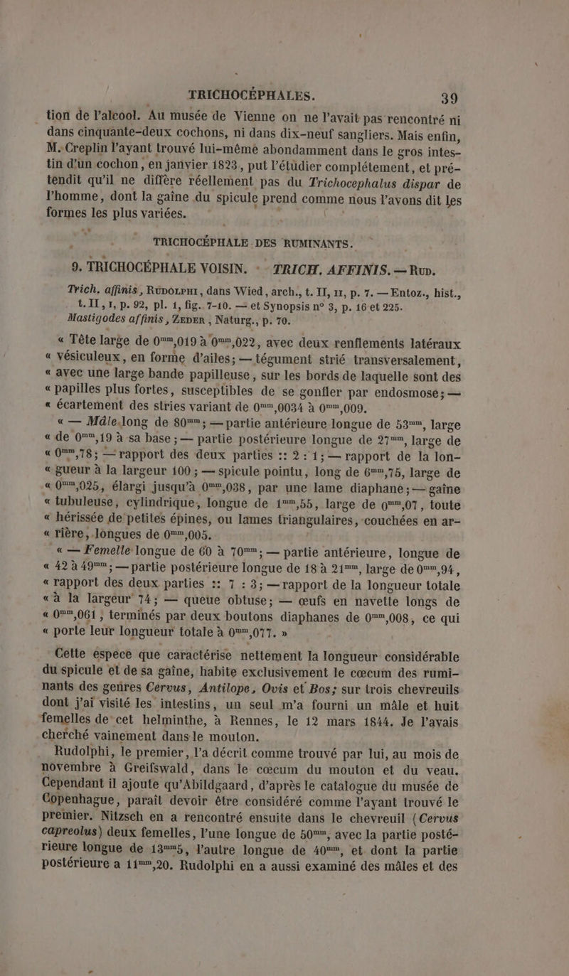 tion de l'alcool. Au musée de Vienne on ne l'avait pas rencontré ni dans cinquante-deux cochons, ni dans dix-neuf sangliers. Mais enfin, M. Creplin l’ayant trouvé lui-même abondamment dans le gros intes- tin d’un cochon, en janvier 1823, put l’étüdier complétement, et pré- tendit qu’il ne diffère réellement pas du Trichocephalus dispar de l’homme, dont la gaine du spicule prend comme nous l'avons dit Les formes les plus variées. : A TRICHOCÉPHALE DES RUMINANTS. 9. TRICHOCÉPHALE VOISIN. + - TRICH., AFFINIS. —Rur. Trich. affinis, Runorrur, dans Wied , arch, t. IT, 11, p. 7. — Entoz., hist., t. IL, 1, p. 92, pl. 1, fig. 7-10. — et Synopsis n° 3, p. 16 et 225. Mastigodes affinis , Zxper , Naturg., p. 70. « Tête large de 0*,019 à 0,022, avec deux renflements latéraux « vésiculeux, en forme d'ailes; — tégument strié transversalement, « avec une large bande papilleuse , sur les bords de laquelle sont des « papilles plus fortes, susceptibles de se gonfler par endosmose; — « écartement des stries variant de 0 ,0034 à 0,009. « — MüleJlong de 80; — partie antérieure longue de 53, large « de 0®,19 à sa base ; — partie postérieure longue de 27, large de « Omm,78; —= rapport des deux parties :: 2: 1; — rapport de la lon- « gueur à la largeur 100 ; — spicule pointu, long de 6%,75, large de «0°*,025, élargi jusqu’à 0,038, par une lame diaphane ; — gaîne « tubuleuse, cylindrique, longue de 1,55, large de 0,07, toute « hérissée de petites épines, ou lames triangulaires, -couchées en ar- « rière, longues de 0,005. _«— Femelle longue de 60 à 70; — partie antérieure, longue de « 42 à 49%; — partie postérieure longue de 18 à 21, large de 0,94, «rapport des deux parties :: 7 : 3; — rapport de la longueur totale à la largeur 74; — queue obtuse; — œufs en navette longs de « 08,061 ; terminés par deux boutons diaphanes de 0 008, ce qui « porte leur longueur totale à 0®,077. » Cette espece que caractérise nettement la longueur considérable du spicule et de sa gaîne, habite exclusivement le cæœcum des rumi- nants des genres Cervus, Antilope, Ovis et Bos; sur trois chevreuils dont j’aï visité les intestins, un seul m'a fourni un mâle et huit femelles de‘cet helminthe, à Rennes, le 12 mars 1844. Je l'avais cherché vainement dansle mouton. Rudolphi, le premier, l’a décrit comme trouvé par lui, au mois de novembre à Greifswald, dans le cœcum du mouton et du veau. Cependant il ajoute qu’Abildgaard, d’après le catalogue du musée de Copenhague, paraît devoir être considéré comme l'ayant trouvé le premier. Nitzsch en a rencontré ensuite dans le chevreuil (Cervus capreolus) deux femelles, l’une longue de 50°, avec la partie posté- rieure longue de 135, l’autre longue de 40%, et. dont la partie postérieure a 11,90, Rudolphi en a aussi examiné des mâles et des