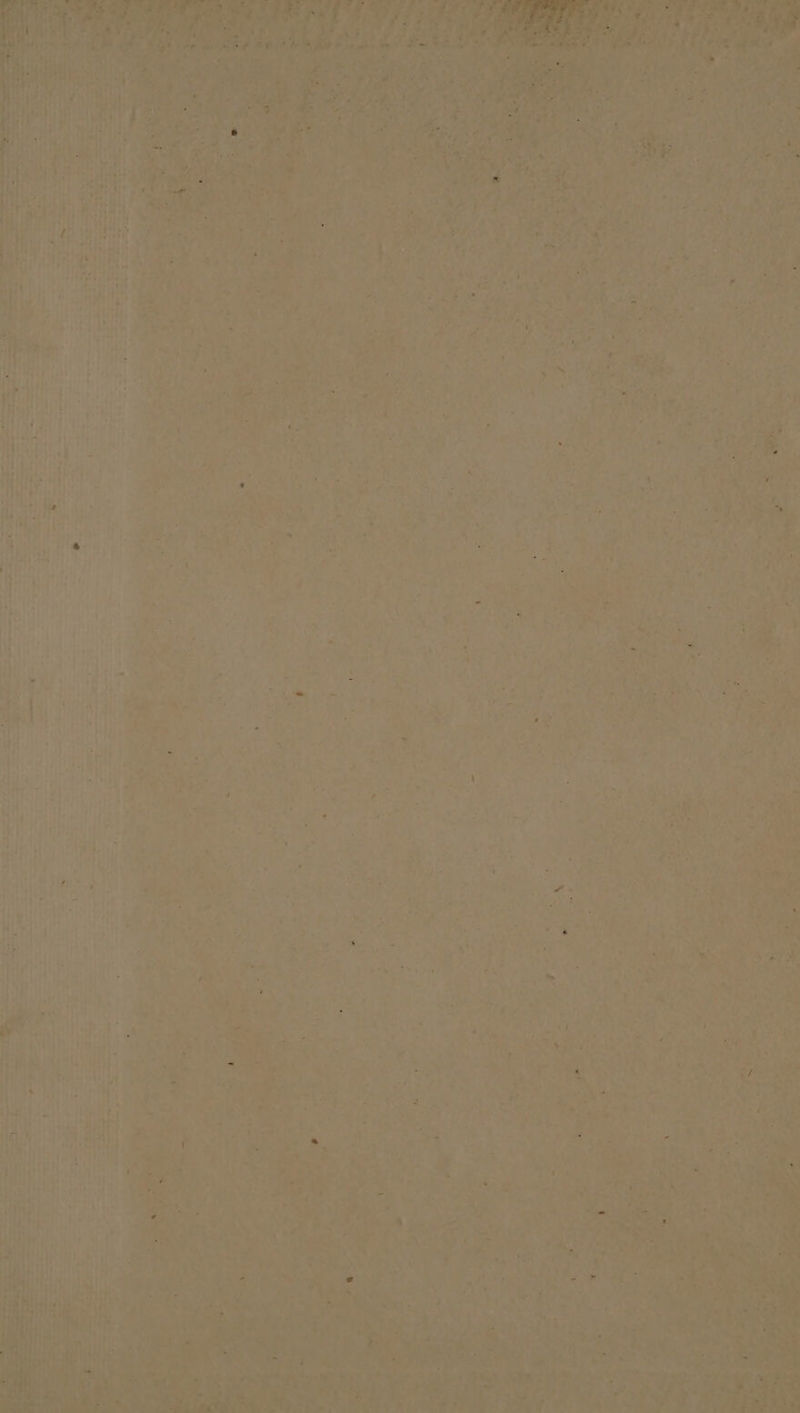 ira TR ‘e fins {? LY