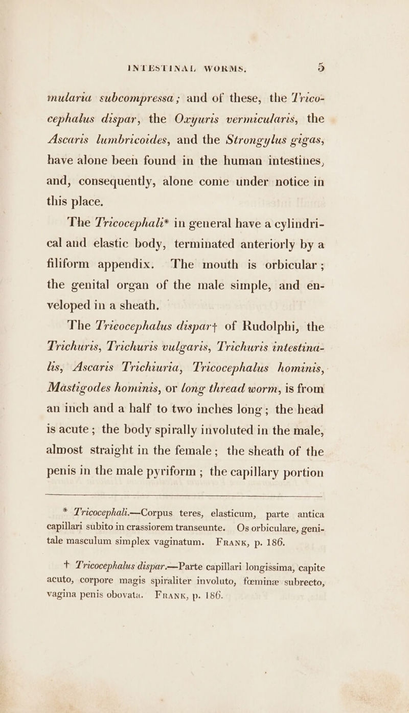 mularea subcompressa; and of these, the 7rzco- cephalus dispar, the Oxyuris vermicularis, the Ascaris lumbricoides, and the Strongylus gigas, have alone been found in the human intestines, and, consequently, alone come under notice in this place. The Tricocephal* in general have a cylindri- cal and elastic body, terminated anteriorly by a filiform appendix. The mouth is orbicular ; the genital organ of the male simple, and en- veloped in a sheath, — The Tricocephalus dispart of Rudolphi, the Trichuris, Trichurts vulgaris, Trichuris intestina- lis, Ascaris Trichiuria, Tricocephalus hominis, Mastigodes hominis, or long thread worm, is from an inch and a half to two inches long; the head is acute ; the body spirally involuted in the male, almost straight in the female; the sheath of the penis in the male pyriform ; the capillary portion * Tricocephali.—Corpus teres, elasticum, parte antica capillari subito in crassiorem transeunte. Os orbiculare, geni- tale masculum simplex vaginatum. Frank, p. 186. + Tricocephalus dispar.—Parte capillari longissima, capite acuto, corpore magis spiraliter involuto, foemine subrecto,