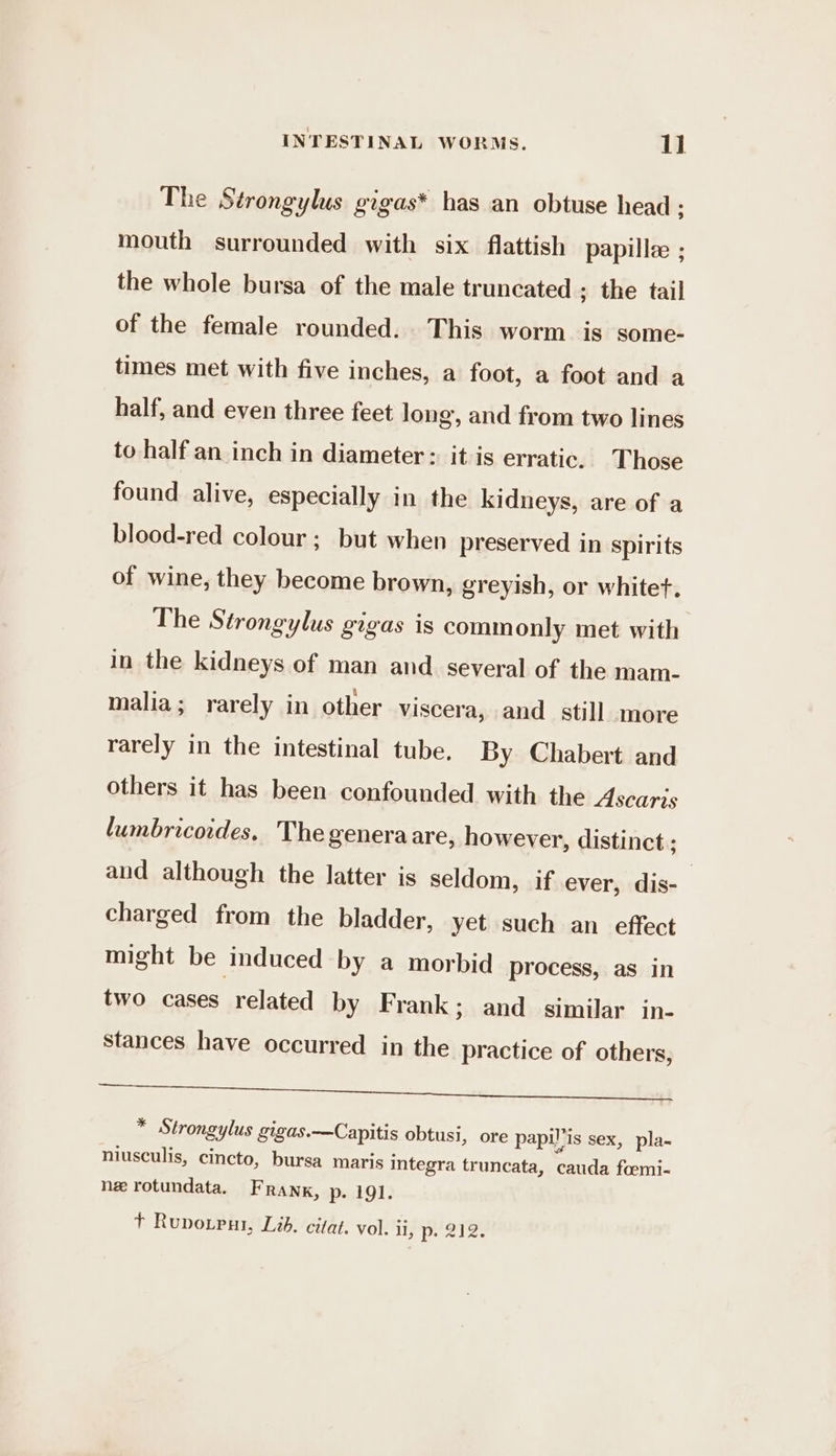 The Strongylus gigas* has an obtuse head ; mouth surrounded with six flattish papillee ; the whole bursa of the male truncated ; the tail of the female rounded. This worm is some- times met with five inches, a foot, a foot and a half, and even three feet long, and from two lines to half an inch in diameter: it is erratic. Those found alive, especially in the kidneys, are of a blood-red colour ; but when preserved in spirits of wine, they become brown, greyish, or whitet. The Strongylus gigas is commonly met with in the kidneys of man and several of the mam- malia; rarely in other viscera, and _ still more rarely in the intestinal tube. By Chabert and others it has been confounded with the Ascaris lumbricoides. The generaare, however, distinct ; and although the latter is seldom, if ever, dis-_ charged from the bladder, yet such an effect might be induced by a morbid process, as in two cases related by Frank; and similar in- stances have occurred in the practice of others, Se ee NT Ee * Strongylus gigas.—Capitis obtusi, ore papilis sex, pla- niusculis, cincto, bursa maris integra truncata, cauda fomi- ne rotundata. FRANK, p. 191. + Rupo.put, Lid. citat. vol. li, p. 212.