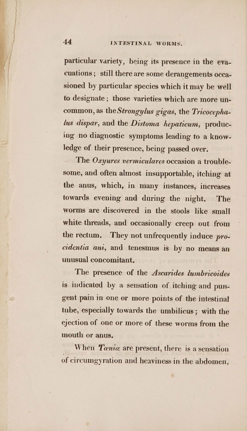 particular variety, being its presence in the eva- cuations ; still there are some derangements occa- sioned by particular species which it may be well to designate ; those varieties which are more un- common, as the Strongylus gigas, the Tricocepha- lus dispar, and the Distoma hepaticum, produc- ing no diagnostic symptoms leading to a know- ledge of their presence, being passed over. The Oxyures vermiculares occasion a trouble- some, and often almost insupportable, itching at the anus, which, in many instances, increases towards evening and during the night. The worms are discovered in the stools like small white threads, and occasionally creep out from the rectum. They not unfrequently induce pro- cidentia ani, and tenesmus is by no means an unusual concomitant. The presence of the Ascarides lumbricoides is indicated by a sensation of itching and pun- gent pain in one or more points of the intestinal tube, especially towards the umbilicus; with the ejection of one or more of these worms from the mouth or anus. When Tene are present, there is a sensation of circumgyration and heaviness in the abdomen,