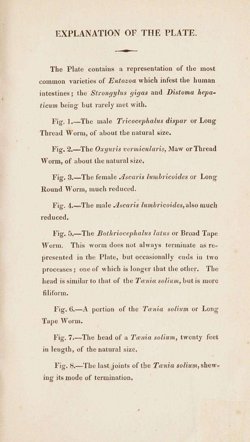 EXPLANATION OF THE PLATE. The Plate contains a representation of the most common varieties of Hntozoa which infest the human intestines; the Strongylus gigas and Distoma hepa- ticum being but rarely met with. Fig. 1.—The male Tricocephalus dispar or Long Thread Worm, of about the natural size. Fig. 2.—The Oxyuris vermicularis, Maw or Thread Worm, of about the natural size, Fig. 3.—The feral Ascaris lumbricoides or Long Round Worm, much reduced. Fig. 4.-The male Ascaris lumbricoides, also much reduced. Fig. 5.—The Bothriocephalus latus or Broad Tape Worm. This worm does not always terminate as re- presented in the Plate, but occasionally ends in two processes; one of which is longer that the other. The head is similar to that of the Tenia solium, but is more filiform. Fig. 6.—A. pertion of the Tenia solium or Long Tape Worm. Fig. 7.—The head of a Tenia solium, twenty feet in length, of the natural size. Vie. 8.—The last joints of the Tenia solium, shew- ing its mode of termination,