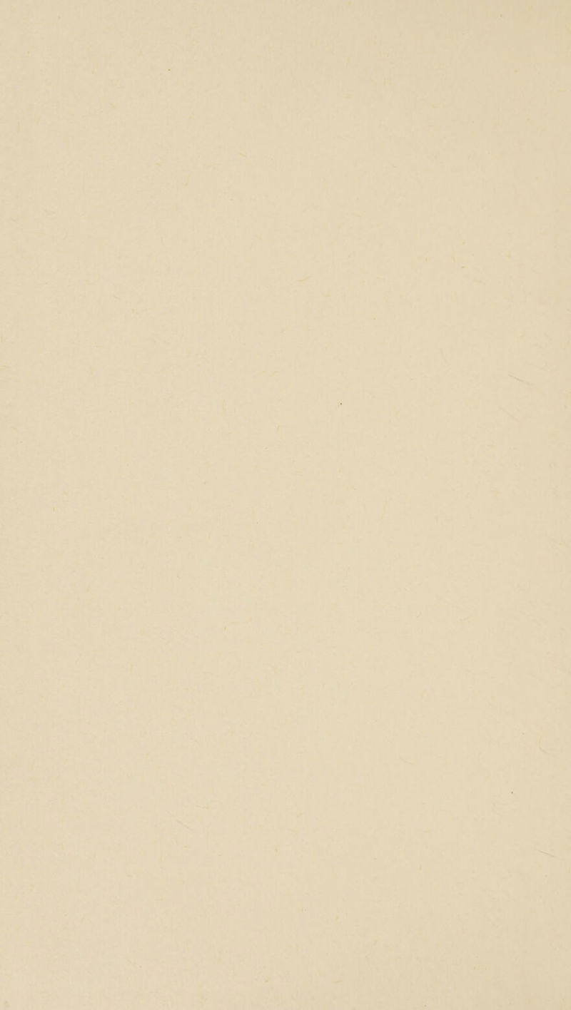 yi ioe Aes Pa Ber belt