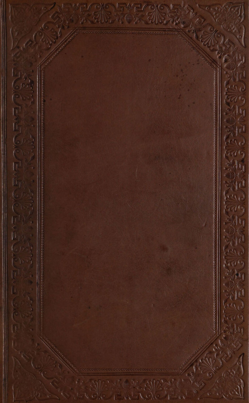 st ¢| Oty r* Ca ad ane ————— \ 2. PRN ZA PONG (EN pe Wen is oo Wine NONE PONE ON «jt &amp; | 12 if { ( A) way v / ; ay Pip A fib ' 4 } F dy » f fl y ae 4 é . “18 ™ ra 4 H sy i a (AY ea i Re We : ‘ it ; ' | 4 f mn tics % w A) yw f }] A(t ia ie Ue ; eee ere Saree LTT Ath Ot nt tht ARO EP TA P nan pe birennDepahprnppennpaia pat n nnn oa atta diticea emia Me