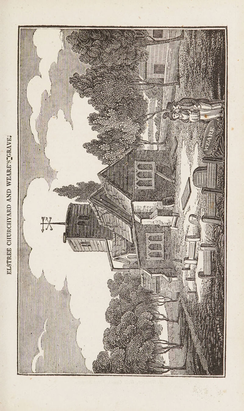 FAVUD-S.GUVAM GNV CUVAHOYAHO AIULSTA