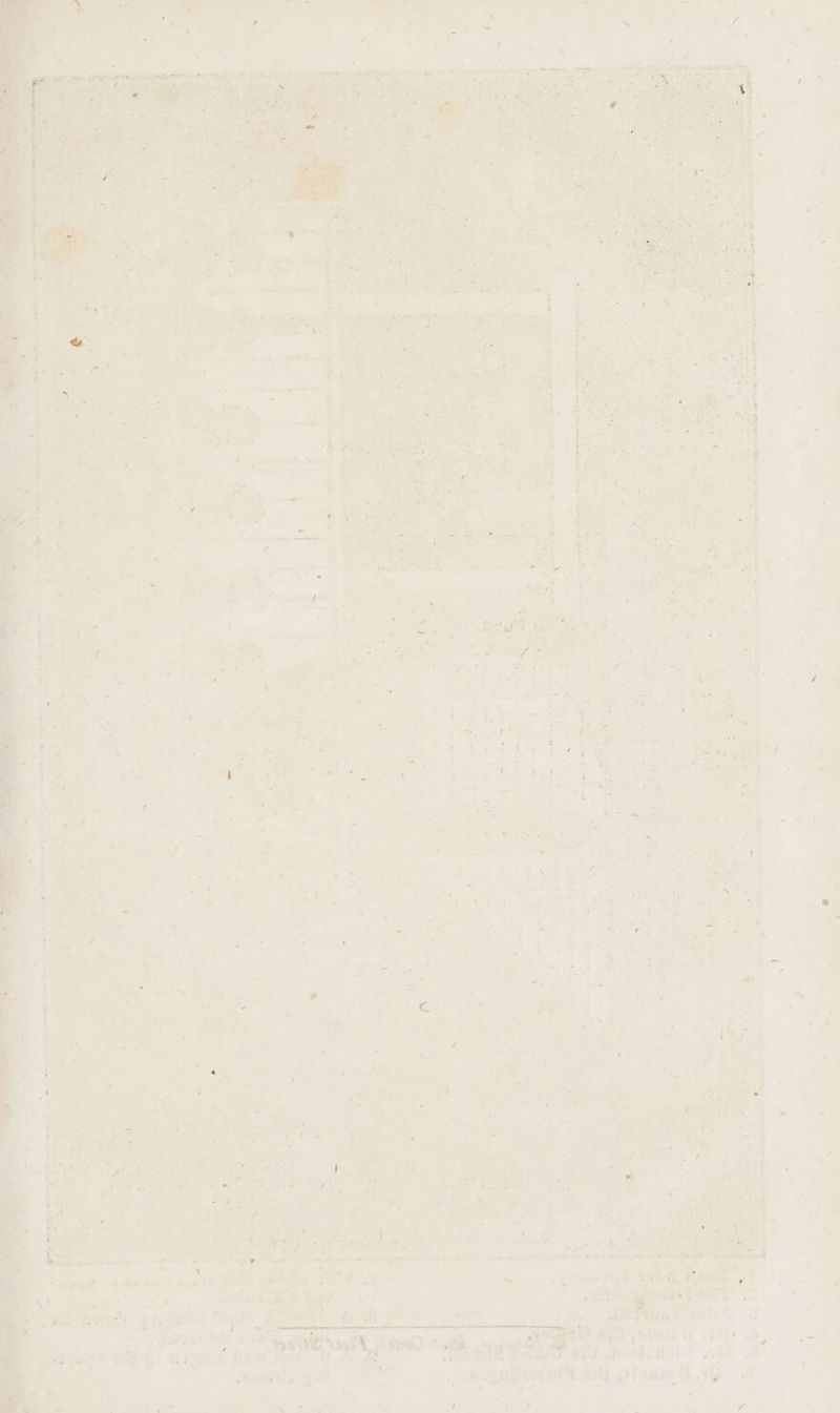 % A “fs ; td pe, peer -- big a cr saat 5 Facts os F ; % $ : a ; ‘ : ft ; yi ' “a ae J qem~ 7 - * . ot 4 ' * a * - 4 f i , 2 Z i é ae “4a . - q . « ’ » , é ‘ x cw, _ ‘ + of i = rh 4 . ‘ ~ 2 «Ff a * 1 \ ” ' . + ~ “ f 7 /to8 i r woe Sa te - hyde A EE ER Yar2 * ~ wana . ’ ; , “fs “> > am, oO. eS ei : ee gs : “ A Pao ' ae via e4,, et ee nT y ih Sich gras ig tt RO ACR IA aa el oe; * : % ery ; é <) &93 tte if ca. : i ot & ee PUL eee re Se a Pee Ot tf 3) Pipe oG) wKons Vow nesrrg: ) otrten Pee fiorbodyi lk 0 a Rae, satis gi Lill . weQoinsy ot Afoeu ay in a - - 5 . 2 C7 n 2 »* ‘ t ey ' ee MERC 13, & or oe b Sea Ca a i‘ Fi i - es ~ wr fi + *