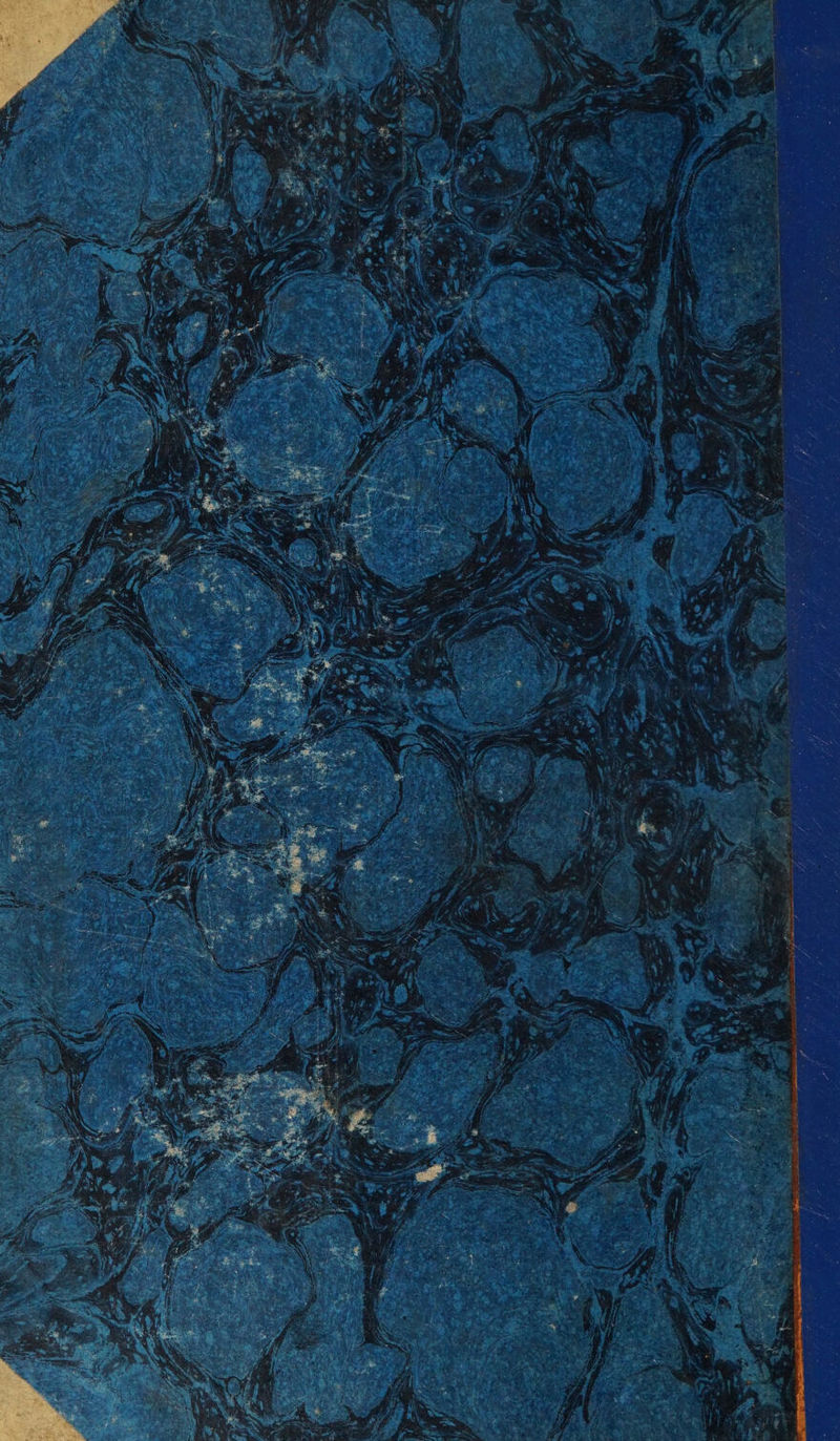 a , . ‘ z ; / 5 a i - F pg Lapeer fh ES ST NET HON CL LL TTS ie cpg oie mn Ne EES I : ‘ / y y : > +