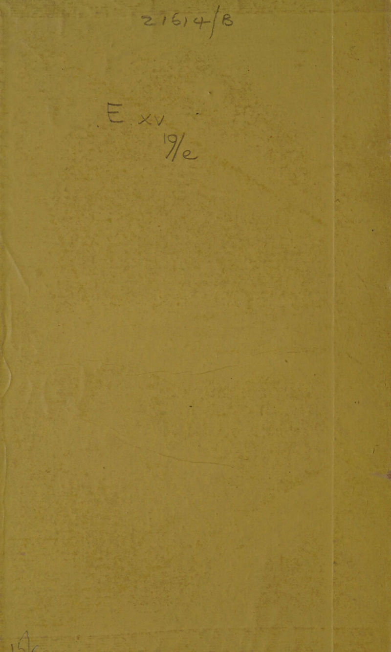 e: ae)