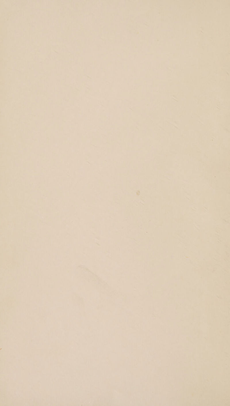 : _) i. ; | Bias YT it ye i i} a. ae oF ‘aD hme aes ; ee er aei ie ; : * nen ey wh