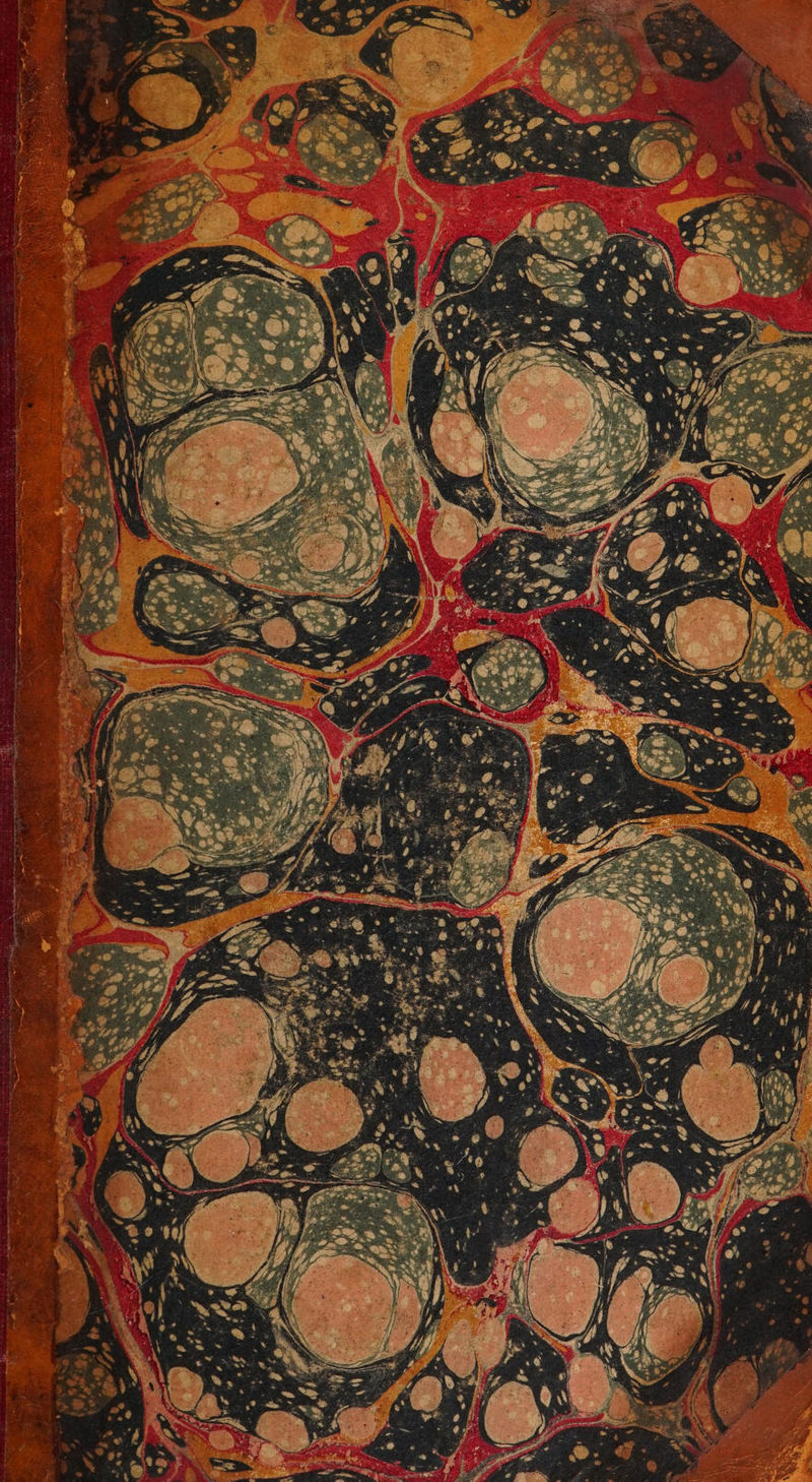 NE A “ “+ — CE RE à x LT Ne A x à TI annee cape dr Re ag Shee SR ENT VAR ve