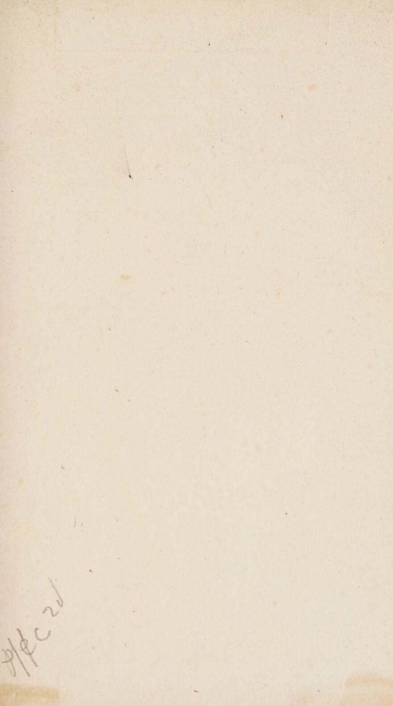 PS ar . € he) oon LATE