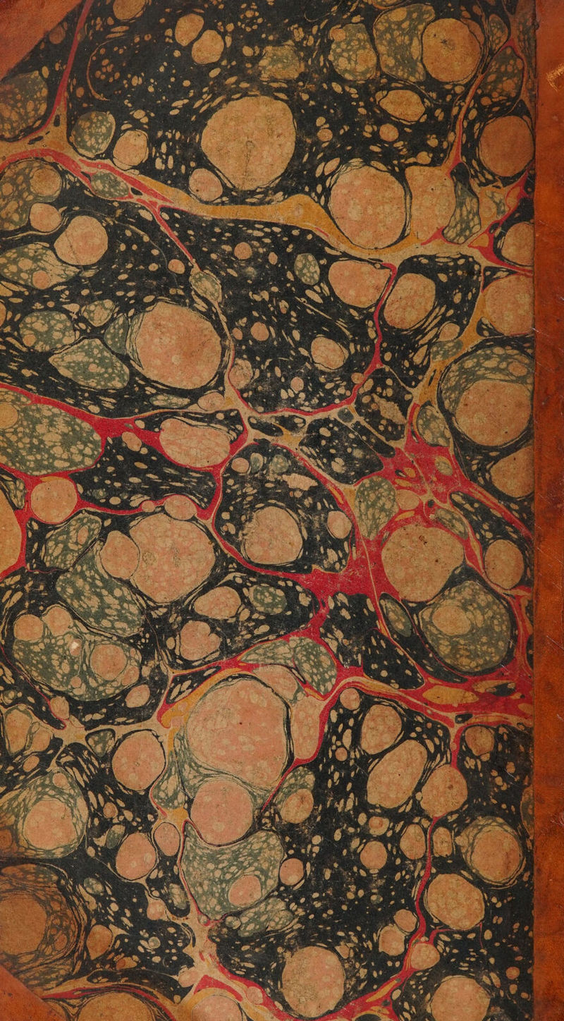 No text description is available for this image