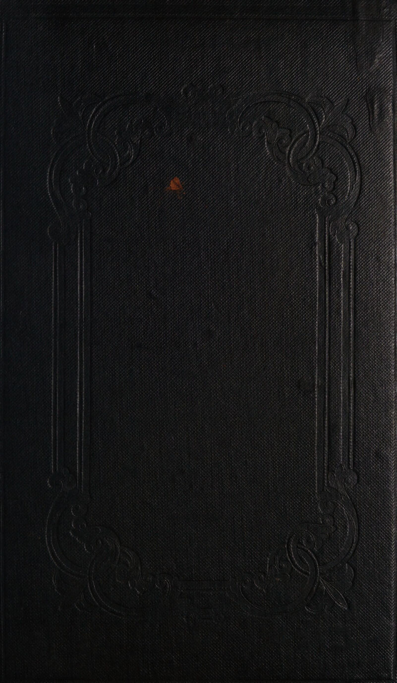 ale wg rt Pitt eI seth ye (4 sie Met 1) yr ots 7 ett Field : ny Vier e f tefl