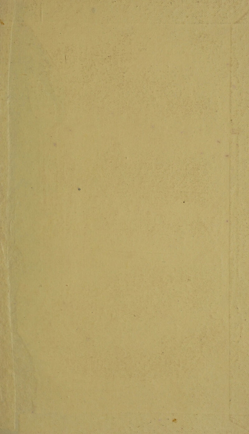 ea ae $l iets nt a Si Aaa dakar atte Ans laber gsi aan . as = ya * - + a > ee PS ese: « hs Be aks SS eae ~~