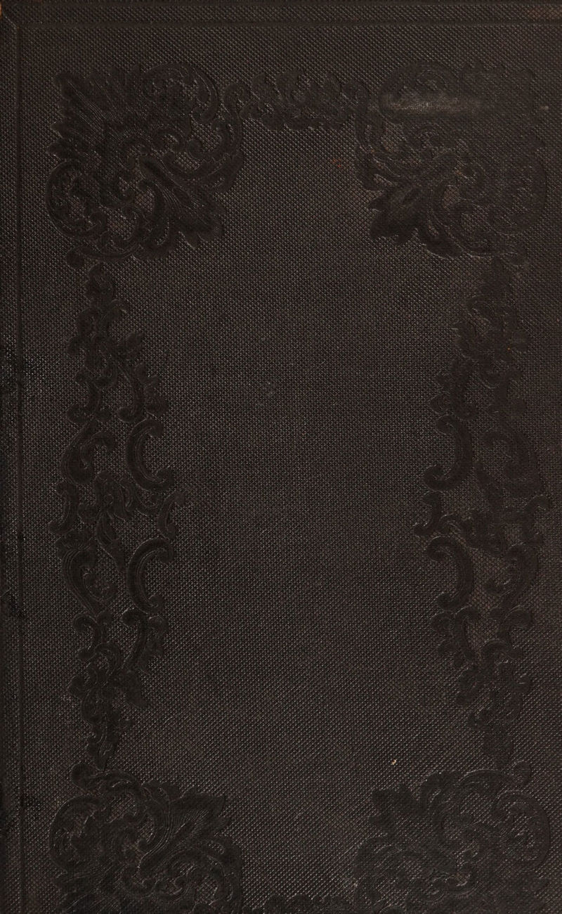 ee eh a ae ed ae xSay x SAS Pate are set ce tester = sa ied urge Sa aa FPL < eneie ms * BS 4 yy ea y nee ti <P ee 2 > a a be 4 er NaS ska SERIO 26 28 se ee eee tere rere ae ee) a a ate PP srory FUP? > estes aD? eras FOS raed Ave aN TaN “8 TAS Hos Tack RAN Fe THs Teco SON AN ey a 2 VOOR, ee) SPEr try sSanats NN es BRN, Feat ae iran ees a ¥ EF ery x gd aes PELE SE Wh EO ve BINS ee a 7e7e baer esas ree >i tS : ae LT a ID . RAMA Nid Me 2 oe ae, “8 § in Ah nde Se oe AA Cd Fp eT 4 ‘ LAW ABT ne ’ ve > aes te ee ie; >0>0> ea e525 2 “ rh eeeeee reese * S > ys an a o Pe geaee My 5 es re oe ve ta i ‘ “ Cieneas AR AEA 78 nA WS Gs WSS a * 1a bee x PRADA POND IN AINA Treen Ppt Ry De tenatari tos : ok deo ' 4 t ws DARE as POIPIN ES VR SIMI A LWA ae KKEA ee PRG ines. HAN dn A NRE ON aS NN we ease Ov Rie Cas KAR ONO ARN WMP bei tates Oe tate WON, RAIS CA vas ates ewer AN SRNR LORK RN i ae hee wat NN nA ARAN