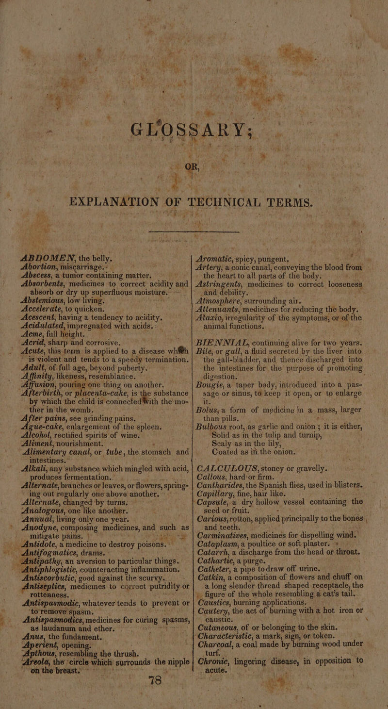 Hi na ” | a *% : a) le % Hs, uf ABDOMEN, the belly. Abortion, miscarriage.« - . Abscess, a tumor containing matter. Absorbents, medicmes ‘to correct acidity aud absorb or dry up SI all a moisture.” Abstemious, low living. Accelerate, to quicken. _ _ Acescent, having a tendency to acidity, Acidulated impregnated with acids. : Aeme, full height. Acrid, sharp and corrosive. : Acute, this term is applied to a disease whfth is violent and tends to a speedy termination. Adult, of full age, beyond puberty. Affinity, likeness, resemblance. Affusion, pouring one thing on another. Afterbirth, or p acenta-cake, i is Ms e substance by which the child is ‘connected ith fae mo- ther in the womb. After pains, see grinding pains. Ague-cake, enlargement of the spleen. Alcohol, rectified Spirits of wine. ‘Aliment, nourishment. ‘Alimentary canal, or tube , the stomach and intestines.’ Alkali, any substance which mingled with acid, produces fermentation. Alternate, branches or leaves, or flowers, spr ing- ing out regularly one above another. Alternate, changed ‘by turns. Analogous, one ‘like another. Annual, living only one year. Anodyne, composing medicines, ane such as mitigate pains. | — ey ‘yn at Antidote, a medicine to destroy poisons. - _ Antifogmatics, drams. | ntipathy, an aversion to particular things. Antiphlogistic, counteracting inflammation. Birt good against the scurvy... Antiseptics, medicmes to correct putridity or roitenness. Antispasmodic, whatever tends to prevent or ‘to remove spasm. _ Antispasmodics, medicines for peti ‘spasms, as laudanum and ether. | Anus, the fundamtent. Aperient, opening. Apthous, resembling the thrush. Areola, the: ‘circle which’ veokbaand the ore ‘on the breast. 13. * a \ nity hs 4: me 1 > # Artery, a conic canal, conveying the ital from - the heart to all parts of the body. ae Astringents, medicines to correct looseness and debility... Atmosphere, surrounding air. Atazio, irregularity of the symptoms, or. nf the animal functions. _ Bile, or gall, a fluid secreted by the liver into the gall-bladder, and thence discharged imto ‘the intestines for the purpose of promoting digestion, : sage or sinus, to keep ‘it open, or a enlarge it. Bolus, a forth of sain ma mass, larger than pills. Bulbous root, as garlic and onion ; it is either, Solid as in the tulip and turnip, Scaly as in the lily, Costes as i the onion. CALC ULO US, stoney or gravelly. Callous, hard: or firm: Cantharides, the Spanish flies, used in blisters. seed or fruit. Carious, Ae # soiled principally to the bones and teeth. Carminatives, medicines for dispelling wind. Cataplasm, a poultice or soft plaster. » Catarrh, a discharge from the head or <sOmened Cathartic, a purge. Catheter, a pipe todraw off urine. Catkin, a composition of flowers and chuff on a long slender thread shaped receptacle, the .. figure of the whole resembling a cat’s tail. ohlier, burning applications. Cautery, the act “of burning with a hot iron or caustic. Cutaneous, of or belonging to the akin, goed sop a coal made by burning wood under tu Chronie, lingering disease, in opposition to _ acute. Re ot de oe }