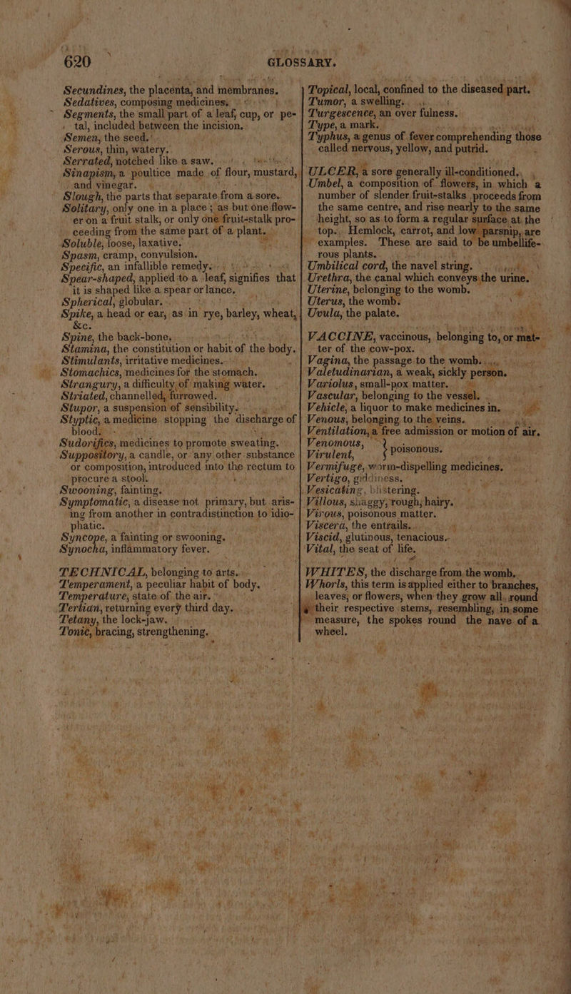 < | Topical, local, donfined to the juteeeaene Tumor, a swelling, , ga sce Turgescence, an over fulness. Type, a mark. Secundines, the placenta, ‘and membranes. Sedatives, composing medicines, Segments, the small part of a leaf, cup, or pe- tal, included between the incision. Semen, the seed.’ called nervous, yellow, and putrid. ULCER, a sore generally ile at ened Umbel, a. composition of. fl Pie i in which a number of slender fruit-stalks proceeds from the same centre, and rise nearly t to the same height, so as to form.a regular surface. at, the top., Hemlock, carrot, and lo rsnip, are / examples. These are said to © umbellife- Serrated, notched hee B SAW. ete «Pwr th Sinapism, a poultice made of Bout mmpster _ and vinegar, Slough, thie arts that separate from a sore. a one in a place; as but one flow-. erona fran stalk, or only one fruitestalk pro- ceeding from the same part of a plant. as Soluble, loose, laxative, 7 Spasm, cramp, conyulsion. rous plants... ' Specific, an infallible remedy.-. Umbilical cord, the cael string. a thane Spear-shaped, applied toa leaf, signifies that Urethra, the canal which ee urine. it is shaped like a spear or lanee, Uterine, belonging to the womb. rea) Spherical, globular. : Uterus, the womb: Cia? crit a head or ear, as in rye, ie ah wheat, Uvula, the palate. _ 1) dias Sune the back-bone, - ; Stimulants, irritative medicines. Stomachics, medicines for the stomach. Strangury, a difficulty, of making water. Striated, channelled, furrowed. Stupor, a suspension of sensibility. Styptic, a mec icine stopping the discharge of bloods. Sudori, cs, dedicnies to promote sweating. VACCI NE, vaccinous, belonging toy or oe Vagina, the passage to the womb... - Valetudinarian, a weak, sickly person. Vascular, belonging to the ves piers Vehicle, a liquor to make ba Ws Mews i Venous, belonging to the veins. | Gos. wy Renitlatonie free admission or motion of air. enomo Varuient. ify Ypoisonous. cn 4 et Vermifuge, orm-dispelling 1 medicines, Vertigo, giddiness. i eh alk Gu. | Vesicating, \:\istering. ae i Villous, shaggy, rough, hairy. Virous, poisonous matter. ‘Viscera, the enttailae iii) iy Wage '| Viscid, glutinous, tenacious. Vital, the seat ki life. OT dows: peathe Hind i WHI TES, the dchetas, aes thea posh ok Whorls, this term is applied either to branches, _ leaves, or flowers, when they grow all. round: » their respective stems, resembling, i in,some » or composition, introduced into the rectum to ‘procurea stool Pata Kh Swooning, fainting. Symptomatic, a disease hot, primar y, but aris- ing from another 1 in asi dewhiba tice to idio~ | phatic. Syncope, a fasting or swooning. Synocha, poinmarontory fever. Temperament, a peculiar habit of body. Temperature, state of the air.” Tetany, the lock-jaw.,. Fam) fev bracing, stren sthening, _ wheel. aie, 4 ’ Sty BB. ae * fe ‘ ’ ie (a5 ¥ ‘ vie ms is sae , , io) ned 4 ¥ | 3 uy : ‘ f 5 » * ¢ Ss ™ ' * ORS, Me Tank Ba , 7 iit Abi - hl 4 wb ? A 4 ; RES See ¥ iat a Pa ‘ Af oy : hia ; : My ul % hiyenk fe t % . We fi i By ial oa ape Me ‘ ‘aRy he Ae Seibel j u i ‘ Fades 4? : Ot ‘ foug “ ey t “ oF ‘ + 7 Aah PF 4 ri i Ng HT pericwy yay ‘ * Be; ey , wh i De M ys it J