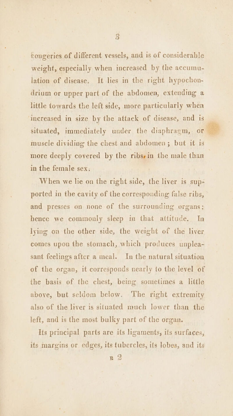 congerics of different vessels, and is of considerable weight, especially when increased by the accumu- lation of disease. It lies in the right hypochon- drium or upper part of the abdomen, extending a little towards the left side, more particularly when ‘increased in size by the attack of disease, and is situated, immediately under the diaphragm, or muscle dividing the chest and abdomen; but it is more deeply covered by the ribsyin the male than — in the female sex, When we lie on the right side, the liver is sup- ported in the cavity of the corresponding false ribs, and presses on none of the surrounding organs; hence we commonly sleep m that attitude. In lying on the other side, the weight of the liver comes upon the stomach, which produces unplea- sant feelings after a meal. In the natural situation of the organ, it corresponds nearly to the level of the basis of the chest, being sometimes a little above, but seldom below. The right extremity also of the liver is situated much lower than the left, and is the most bulky part of the organ. Its principal parts are its ligaments, its surfaces, its margins or edges, its tubercles, its lobes, and its B ? ta