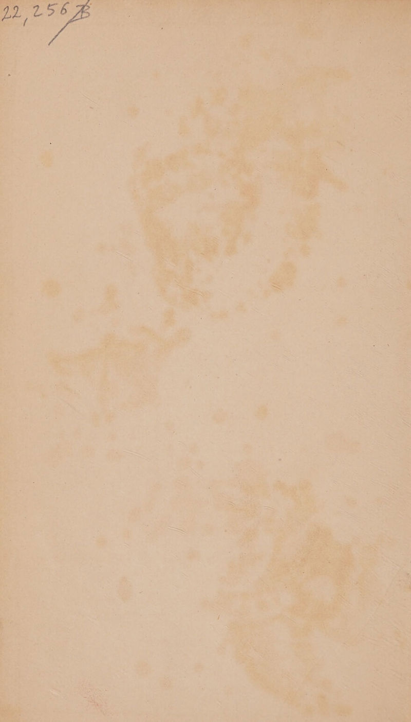 cot a ie eS a 48 7 ‘ 4 a : aes , > , a =