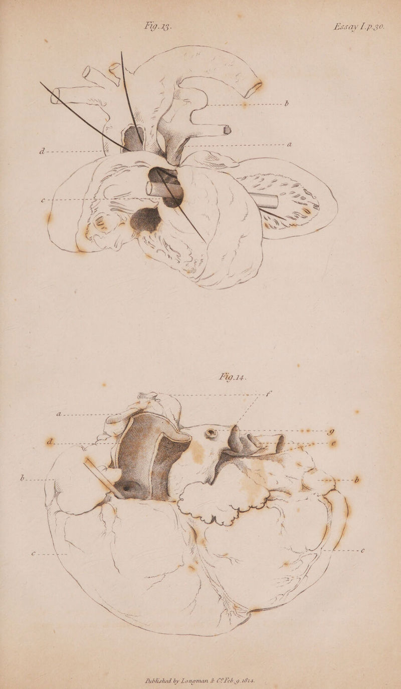 vee es Ss ee : Kee ee } . J NS eH BPS LSS LP GO.