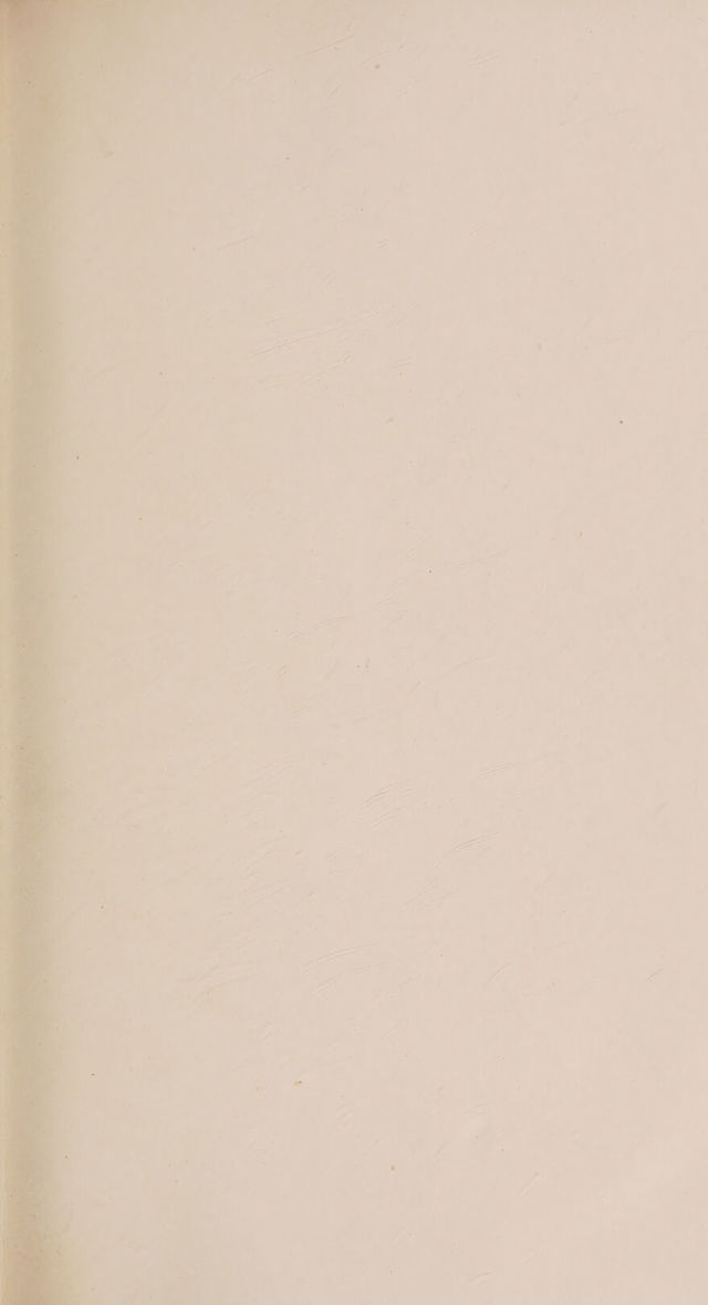 digitised image 3