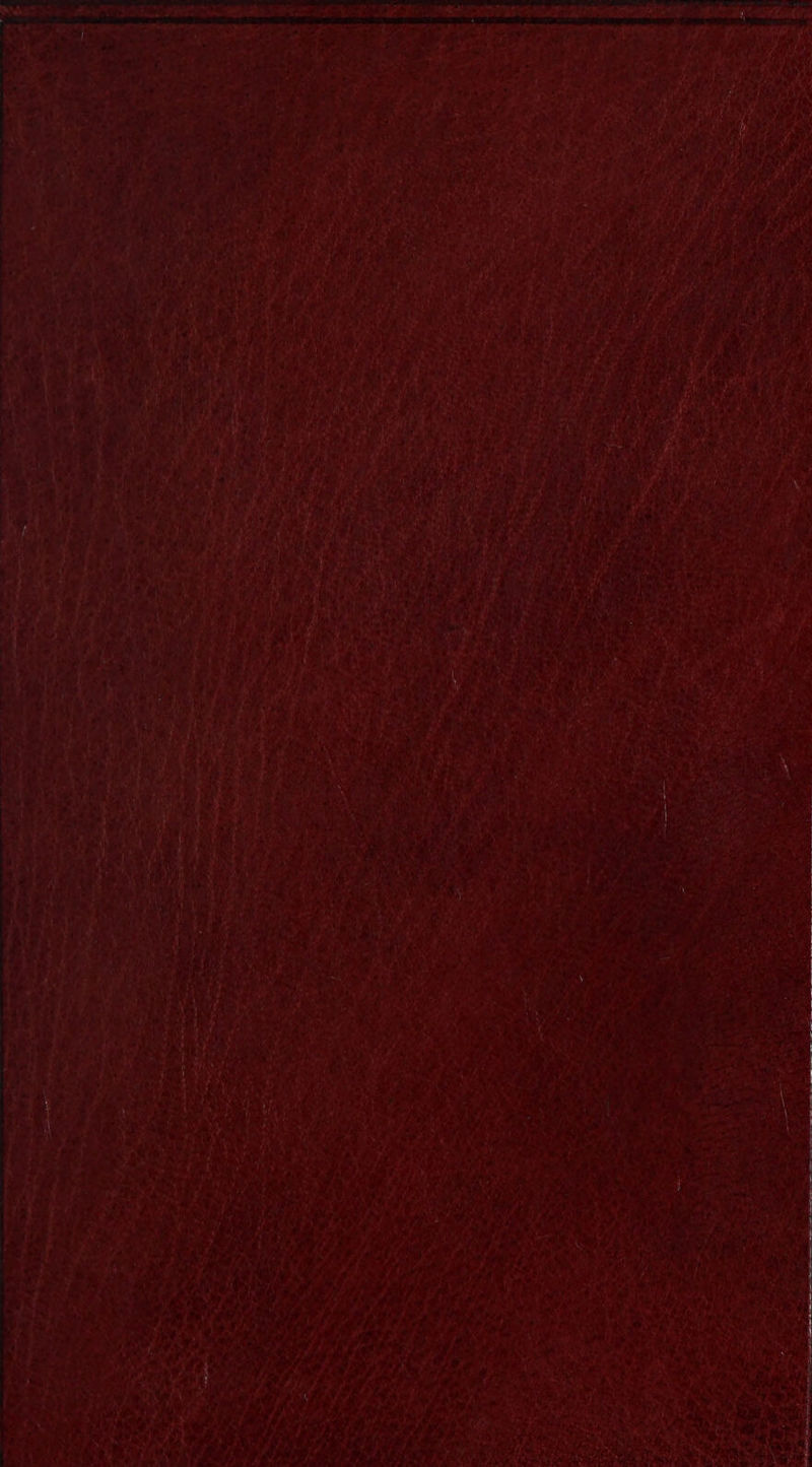 A a