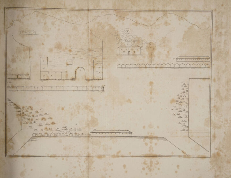 SAINT NY RAPA err SS