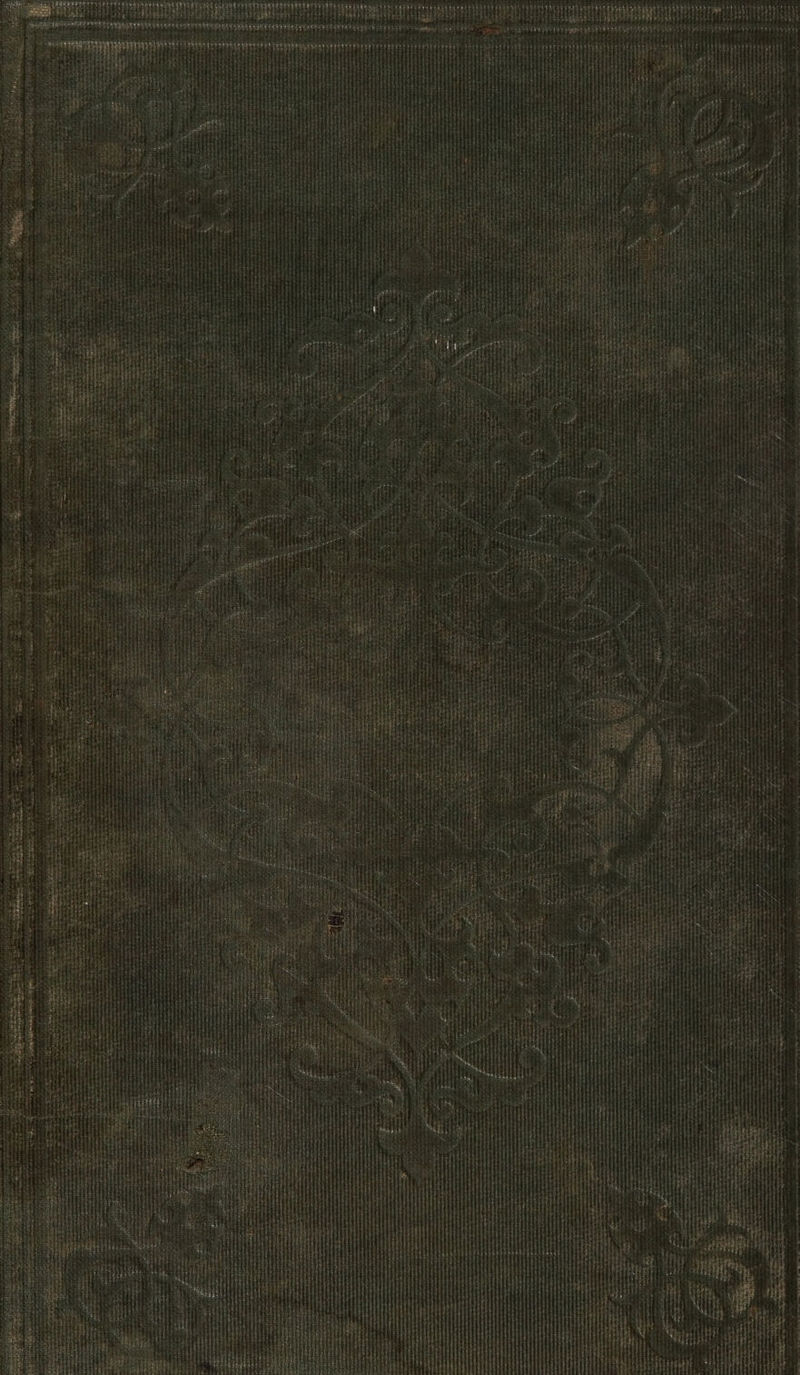 No text description is available for this image