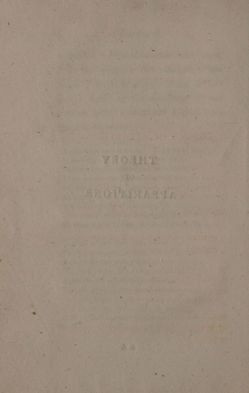 % Kane As y eis bees