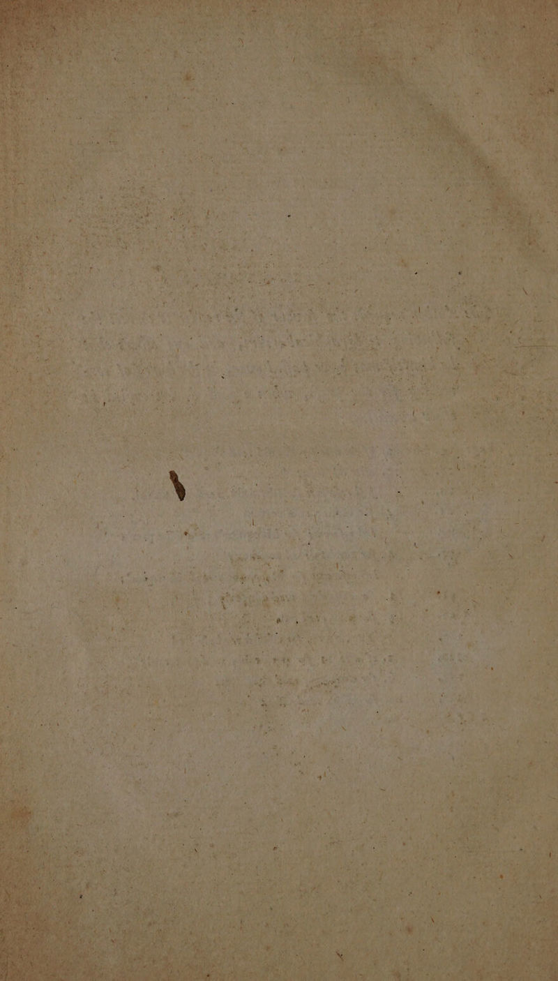 AS Area ity, ¥ be ng x