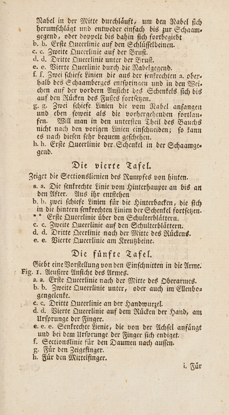 N herumſchlaͤgt und entweder einfach bis zur Schaam⸗ gegend, oder doppelt bis dahin ſich fortbegiebt b. b. Erſte Queerlinie auf den Schluͤſſelbeinen. c. c. Zweite Queerlinie auf der Bruſt. d. d. Dritte Queerlinie unter der Bruſt. e. e. Vierte Querlinie durch die Nabelgegend. f. f. Zwei ſchiefe Linien die aus der ſenkrechten a. ober— halb des Schaamberges entſpringen und in den Wei— chen auf der vordern Anſicht des Schenkels ſich bis auf den Ruͤcken des Fußes fortſetzen. . 8. Zwei ſchiefe Linien die vom Nabel anfangen und eben ſoweit als die vorhergehenden fortlau— fen. Will man in den unterſten Theil des Bauchs nicht nach den vorigen Linien einſchneiden; ſo kann es nach dieſen ſehr bequem geſchehen. h. h. Erſte Queerlinie der Schenkel in der Schaamge⸗ gend. Die vierte Tafel. Zeiget die Sectionslienien des Rumpfes von hinten. a. a. Die ſenkrechte Linie vom Hinterhaupte an bis an den After. Aus ihr entſtehen | b. b. zwei ſchiefe Linien für die Hinterbacken, die fich in die hintern ſenkrechten Linien der Schenkel fortſetzen. Erſte Queerlinie über den Schulterblaͤttern. c. c. Zweite Queerlinie auf den Schulterblaͤttern. d. d. Dritte Deerlinie nach der Mitte des Ruͤckens. e. e. Vierte Queerlinie am Kreutzbeine. Die fuͤnfte Tafel. Giebt eine Vorſtellung von den Einſchnitten in die Arme. Fig. 1. Aeußere Anſicht des Armes. 2. a. Erſte Queerlinie nach der Mitte des Oberarmes. b. b. Zweite Queerlinie unter, oder auch im Ellenbo⸗ gengelenke. c. c. Dritte Queerlinie an der Handwurzel. d. d. Vierte Queerlinie auf dem Ruͤcken der Hand, am Urſprunge der Finger. e. e. e. Senkrechte Lienie, die von der Achſel anfängt und bei dem Urſprunge der Finger ſich endiget. f. Sectionslinie fuͤr den Daumen nach auſſen. g. Fuͤr den Zeigefinger. | h. Zur den Mittelfinger.