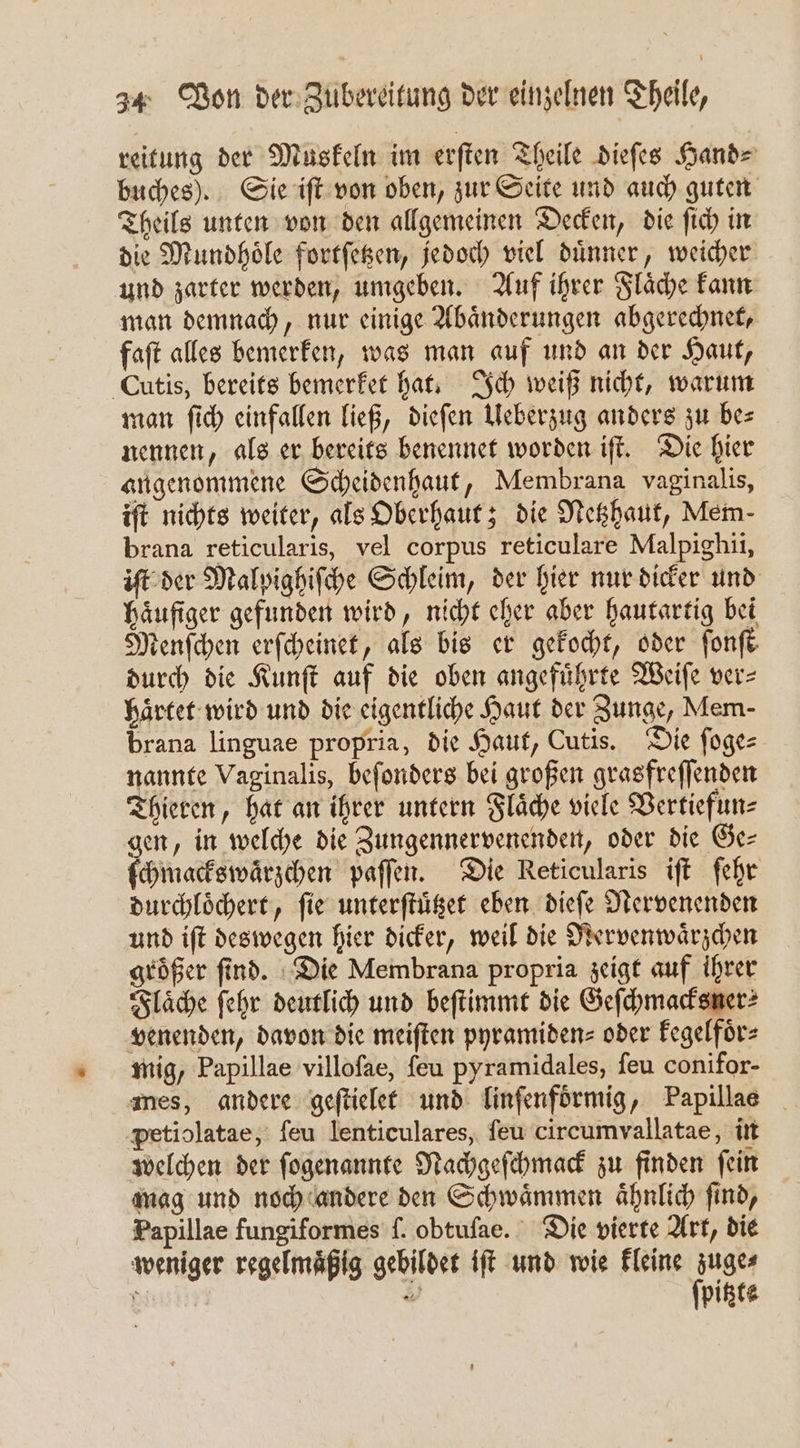 reitung der Muskeln im erſten Theile dieſes Hand⸗ buches). Sie iſt von oben, zur Seite und auch guten Theils unten von den allgemeinen Decken, die ſich in die Mundhoͤle fortſetzen, jedoch viel duͤnner, weicher und zarter werden, umgeben. Auf ihrer Flaͤche kann man demnach, nur einige Abaͤnderungen abgerechnet, faſt alles bemerken, was man auf und an der Haut, Cutis, bereits bemerket hat. Ich weiß nicht, warum man ſich einfallen ließ, dieſen Ueberzug anders zu be⸗ nennen, als er bereits benennet worden iſt. Die hier angenommene Scheidenhaut, Membrana vaginalis, iſt nichts weiter, als Oberhaut; die Netzhaut, Mem- brana reticularis, vel corpus reticulare Malpighii, iſt der Malpighiſche Schleim, der hier nur dicker und häufiger gefunden wird, nicht eher aber hautartig bei Menſchen erſcheinet, als bis er gekocht, oder fonft durch die Kunſt auf die oben angefuͤhrte Weiſe ver⸗ haͤrtet wird und die eigentliche Haut der Zunge, Mem- brana linguae propria, die Haut, Cutis. Die ſoge⸗ nannte Vaginalis, beſonders bei großen grasfreſſenden Thieren, hat an ihrer untern Flaͤche viele Vertiefun⸗ gen, in welche die Zungennervenenden, oder die Ge⸗ ſchmackswaͤrzchen paſſen. Die Reticularis iſt ſehr durchloͤchert, ſie unterſtuͤtzet eben dieſe Nervenenden und iſt deswegen hier dicker, weil die Nervenwaͤrzchen groͤßer ſind. Die Membrana propria zeigt auf ihrer Flaͤche ſehr deutlich und beſtimmt die Geſchmacksner⸗ venenden, davon die meiſten pyramiden⸗ oder kegelfoͤr⸗ mig, Papillae villoſae, ſeu pyramidales, ſeu conifor- mes, andere geſtielet und linſenfoͤrmig, Papillae _ petiolatae, ſeu lenticulares, ſeu circumvallatae, in welchen der ſogenannte Nachgeſchmack zu finden ſein mag und noch andere den Schwaͤmmen aͤhnlich ſind, Papillae fungiformes ſ. obtuſae. Die vierte Art, die weniger regelmaͤßig gebildet iſt und wie kleine as 5 — pitzte