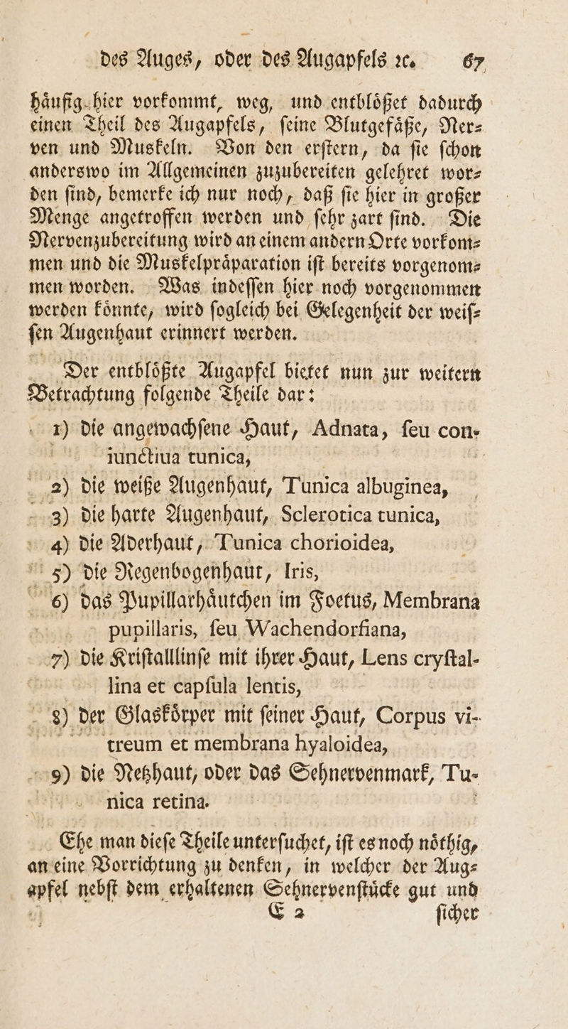haͤufig hier vorkommt, weg, und entbloͤßet dadurch einen Theil des Augapfels, ſeine Blutgefaͤße, Ner⸗ ven und Muskeln. Von den erſtern, da ſie ſchon anderswo im Allgemeinen zuzubereiten gelehret wor⸗ den ſind, bemerke ich nur noch, daß ſie hier in großer Menge angetroffen werden und ſehr zart ſind. Die Nervenzubereitung wird an einem andern Orte vorkom⸗ men und die Muskelpraͤparation iſt bereits vorgenom⸗ men worden. Was indeſſen hier noch vorgenommen werden koͤnnte, wird ſogleich bei Gelegenheit der weiſ⸗ ſen Augenhaut erinnert werden. Der entbloͤßte Augapfel bietet nun zur weitern Betrachtung folgende Theile dar: 1) die angewachſene Haut, Adnata, feu con- | jundhus tunica, | 2) die weiße Augenhaut, Tunica albuginea, 3) die harte Augenhaut, Sclerotica tunica, 4) die Aderhaut, Tunica chorioidea, J) die Regenbogenhaut, Iris, 5) das Pupillarhaͤutchen im Foetus, eme E pupillaris, ſeu Wachendorfiana, 7) die Kriſtalllinſe mit ihrer Haut, Lens cryftal- lina et capſula lentis, | 9 der Glaskoͤrper mit ſeiner Haut, Corpus vi dtreum et membrana hyaloidea, 9) die Netzhaut, oder das Sehnervenmark, Tu- | nica retina. Ehe man dieſe Theile unterſuchet, iſt es noch nöthig, an eine Vorrichtung zu denken, in welcher der Aug— apfel nebſt dem erhaltenen Sehnervenſtuͤcke gut und E 2 ſicher