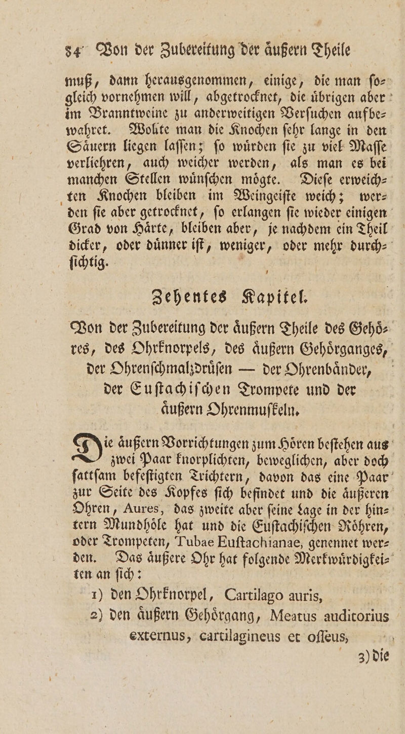 muß, dann herausgenommen, einige, die man ſo⸗ gleich vornehmen will, abgetrocknet, die uͤbrigen aber im Branntweine zu anderweitigen Verſuchen aufbe- wahret. Wollte man die Knochen ſehr lange in den Saͤuern liegen laſſen; ſo wuͤrden ſie zu viel Maſſe verliehren, auch weicher werden, als man es bei manchen Stellen wuͤnſchen moͤgte. Dieſe erweich⸗ ten Knochen bleiben im Weingeiſte weich; wer— den ſie aber getrocknet, ſo erlangen ſie wieder einigen Grad von Haͤrte, bleiben aber, je nachdem ein Theil dicker, oder duͤnner iſt, weniger, oder mehr durch⸗ ſichtig. | Zehentes Kapitel. Von der Zubereitung der äußern Theile des Gehoͤ⸗ res, des Ohrknorpels, des aͤußern Gehoͤrganges, der Ohrenſchmalzdruͤſen — der Ohrenbaͤnder, der Euſtachiſchen Trompete und der aͤußern Ohrenmuſkeln. Di äußern Vorrichtungen zum Hören beſtehen aus zwei Paar knorplichten, beweglichen, aber doch ſattſam befeſtigten Trichtern, davon das eine Paar zur Seite des Kopfes ſich befindet und die aͤußeren Ohren, Aures, das zweite aber feine Lage in der hin⸗ tern Mundhoͤle hat und die Euſtachiſchen Roͤhren, oder Trompeten, Tubae Euſtachianae, genennet wer⸗ den. Das aͤußere Ohr hat folgende Merkwuͤrdigkei⸗ ten an ſich: | 1) den Ohrknorpel, Cartilago auris, | 2) den aͤußern Gehoͤrgang, Meatus auditorius externus, cartilagineus et oſſeus, 3) die