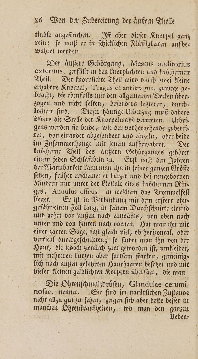 tinoͤle angeſtrichen. Iſt aber dieſer Knorpel ganz rein; fo muß er in ſchicklichen Fluͤſſigkeiten auf be⸗ wahret werden. re Der aͤußere Gehörgang, Meatus auditorius externus, zerfaͤllt in den knorplichten und knoͤchernen Theil. Der knorplichte Theil wird durch zwei kleine erhabene Knorpel, Tragus et antitragus, zuwege ges bracht, die ebenfalls mit den allgemeinen Decken über _ zogen und nicht ſelten, beſonders letzterer, durch— loͤchert ſind. Dieſer haͤutige Ueberzug muß dahero oͤfters die Stelle der Knorpelmaſſe vertreten. Uebri⸗ gens werden fie beide, wie der vorhergehende zuberei— tet, von einander abgeſondert und einzeln, oder beide im Zuſammenhange mit jenem aufbewahret. Der knoͤcherne Theil des äußern Gehoͤrganges gehörer einem jeden Schlaͤfebein zu. Erſt nach den Jahren der Mannbarkeit kann man ihn in ſeiner ganzen Groͤße ſehen, früher erſcheinet er Fürzer und bei neugebornen Kindern nur unter der Geſtalt eines knoͤchernen Nin- ges, Annulus ofleus, in welchem das Trommelfell lieget. Er iſt in Verbindung mit dem erſtern ohn⸗ gefaͤhr einen Zoll lang, in ſeinem Durchſchnitte eirund und gehet von außen nach einwaͤrts, von oben nach unten und von hinten nach vornen. Hat man ihn mit einer zarten Saͤge, faſt gleich viel, ob horizontal, oder vertical durchgeſchnitten; ſo findet man ihn von der Haut, die jedoch ziemlich zart geworden iſt, umkleidet, mit mehreren kurzen aber ſattſam ſtarken, gemeinig— lich nach außen gekehrten Hauthaaren beſetzet und mit vielen kleinen gelblichten Körpern überfäet, die man Die Ohrenſchmalzdruͤſen, Glandulae cerumi- noſae, nennet. Sie find im natürlichen Zuſtande nicht allzu gut zu ſehen, zeigen ſich aber deſto beffer in manchen Ohrenkrankheiten, wo man den En eber⸗