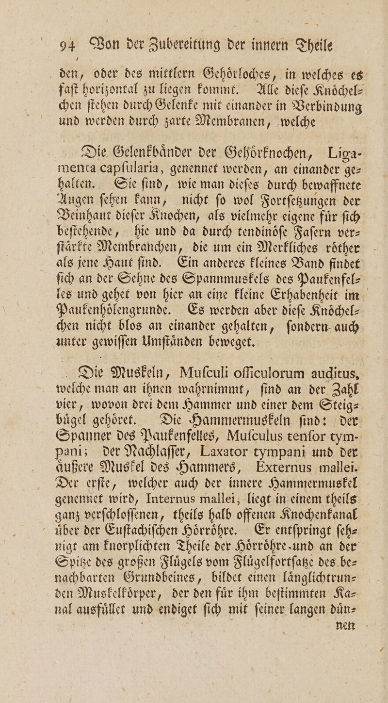 den, oder des mittlern Gehoͤrloches, in welches es faſt horizontal zu liegen kommt. Alle dieſe Knoͤchel⸗ chen ſtehen durch Gelenke mit einander in Verbindung und werden durch zarte Membranen, welche Die Gelenkbaͤnder der Gehoͤrknochen, Liga- menta capſularia, genennet werden, an einander gez halten. Sie ſind, wie man dieſes durch bewaffnete Augen ſehen kann, nicht ſo wol Fortſetzungen der Beinhaut dieſer Knochen, als vielmehr eigene fuͤr ſich beſtehende, hie und da durch tendinoͤſe Faſern ver— ſtaͤrkte Membranchen, die um ein Merkliches roͤther als jene Haut ſind. Ein anderes kleines Band findet ſich an der Sehne des Spannmuskels des Paukenfel— les und gehet von hier an eine kleine Erhabenheit im Paukenhoͤlengrunde. Es werden aber dieſe Knöchel- chen nicht blos an einander gehalten, ſondern auch unter gewiſſen Umſtaͤnden beweget. Die Muskeln, Mufculi oſſiculorum auditus, welche man an ihnen wahrnimmt, ſind an der Zahl vier, wovon drei dem Hammer und einer dem Steig— buͤgel gehoͤret. Die Hammermuskeln ſind: der Spanner des Paukenfelles, Mufculus tenſor tym. pani; der Nachlaſſer, Laxator tympani und der aͤußere Muskel des Hammers, Externus mallei. Der erſte, welcher auch der innere Hammermuskel genennet wird, Internus mallei, liegt in einem theils ganz verſchloſſenen, theils halb offenen Knochenkanal uber der Euſtachiſchen Hoͤrroͤhre. Er entſpringt ſeh⸗ nigt am knorplichten Theile der Hoͤrroͤhre und an der Spitze des großen Fluͤgels vom Fluͤgelfortſatze des be— nachbarten Grundbeines, bildet einen laͤnglichtrun— den Muskelkoͤrper, der den für ihm beſtimmten Ka⸗ nal ausfuͤllet und endiget ſich mit ſeiner langen duͤn⸗