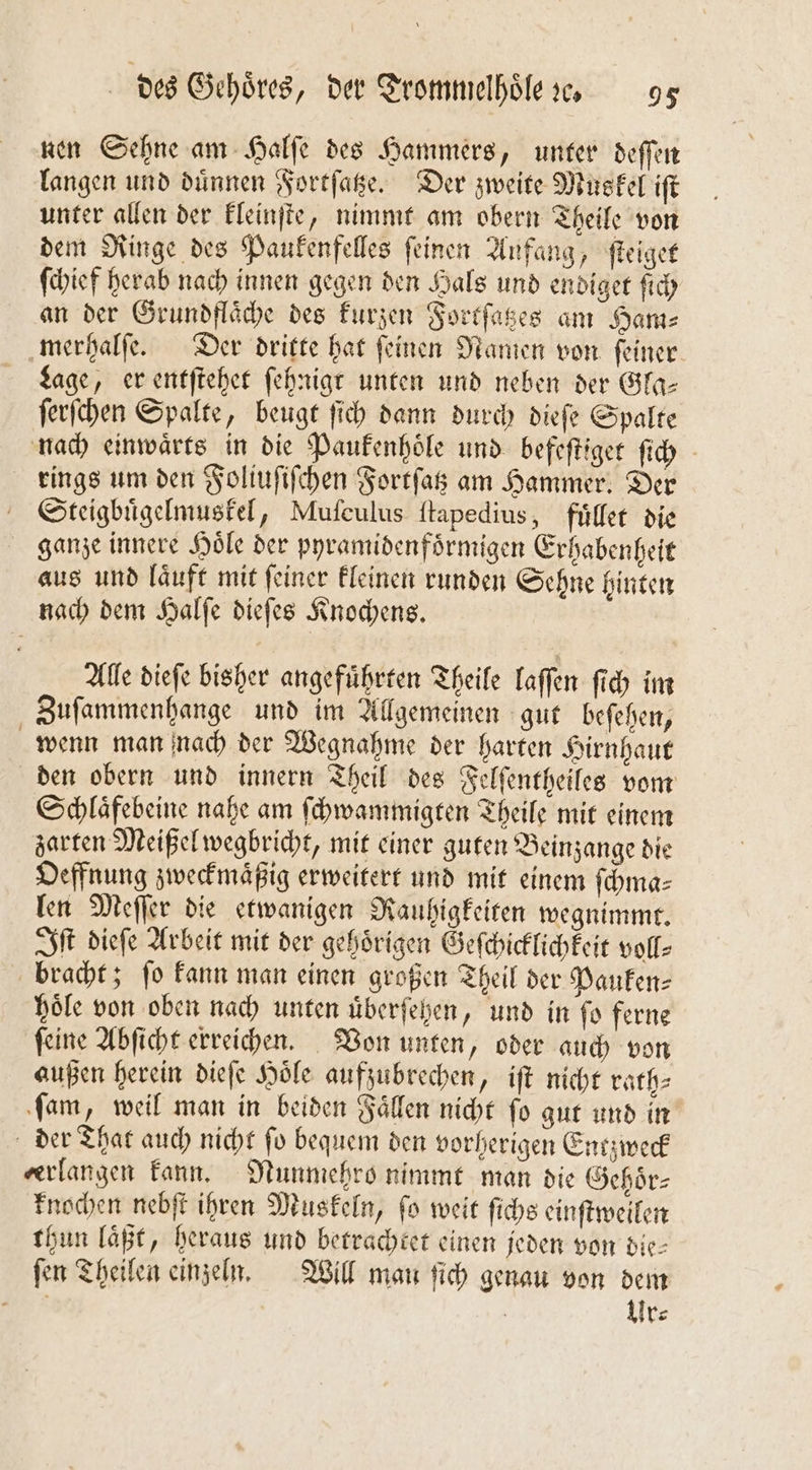 nen Sehne am Halſe des Hammers, unter deſſen langen und dünnen Fortſatze. Der zweite Muskel iſt unter allen der kleinſte, nimmt am obern Theile von dem Ringe des Paukenfelles feinen Anfang, ſteiget ſchief herab nach innen gegen den Hals und endiget ſich an der Grundflaͤche des kurzen Fortſatzes am Ham⸗ merhalſe. Der dritte hat feinen Namen von feiner. Lage, er entſtehet ſehnigt unten und neben der Gla⸗ ſerſchen Spalte, beugt ſich dann durch dieſe Spalte nach einwaͤrts in die Paukenhoͤle und befeſtiget ſich rings um den Foliuſiſchen Fortſatz am Hammer. Der Steigbuͤgelmuskel, Mufculus ſtapedius, fuͤllet die ganze innere Hoͤle der pyramidenfoͤrmigen Erhabenheit aus und laͤuft mit feiner kleinen runden Sehne hinten nach dem Halſe dieſes Knochens. Alle dieſe bisher angefuͤhrten Theile laſſen ſich im Zuſammenhange und im Allgemeinen gut beſehen, wenn man nach der Wegnahme der harten Hirnhaut den obern und innern Theil des Felſentheiles vom Schlaͤfebeine nahe am ſchwammigten Theile mit einem zarten Meißel wegbricht, mit einer guten Beinzange die Oeffnung zweckmaͤßig erweitert und mit einem ſchma⸗ len Meſſer die etwanigen Rauhigkeiten wegnimmt. Iſt dieſe Arbeit mit der gehoͤrigen Geſchicklichkeit voll⸗ bracht; ſo kann man einen großen Theil der Pauken⸗ hoͤle von oben nach unten überfehen, und in fo ferne ſeine Abſicht erreichen. Von unten, oder auch von außen herein dieſe Hoͤle aufzubrechen, iſt nicht rath⸗ ſam, weil man in beiden Fällen nicht fo gut und in der That auch nicht ſo bequem den vorherigen Entzweck erlangen kann. Nunmehro nimmt man die Gehoͤr⸗ knochen nebſt ihren Muskeln, ſo weit ſichs einſtweilen thun laͤßt, heraus und betrachtet einen jeden von die— ſen Theilen einzeln. Will man ſich genau von dem BR Ur⸗