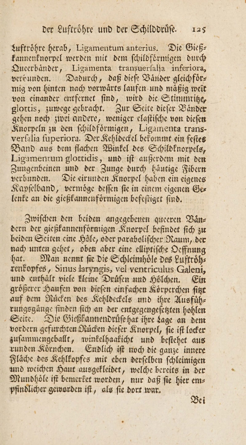 Luftroͤhre herab, Ligamentum anterius. Die Gieß— kannenknorpel werden mit dem ſchildfoͤrmigen durch Queerbaͤnder, Ligamenta tran ya inferiora, verbunden. Dadurch, daß Sieh Bänder gleich foͤr⸗ mig von hinten nach vorwaͤrts laufen und maͤßig weit von einander entfernet ſind, wird die Stimmritze, glottis, zuwege gebracht. Zur Seite dieſer Bänder gehen noch zwei andere, weniger elaſtiſche von dieſen Knorpeln zu den ſchildfoͤrmigen, Ligamenta trans- verſalia ſuperiora. Der Kehldeckel bekommt ein feſtes Band aus dem flachen Winkel des Schildknorpels, Ligamentum glottidis, und iſt außerdem mit den Zungenbeinen und der Zunge durch haͤutige Fibern verbunden. Die eirunden Knorpel haben ein eigenes Kapſelband, vermoͤge deffen fie in einem eigenen Ge⸗ lenke an die gießkannenfoͤrmigen befeſtiget ſind. Zwiſchen den beiden angegebenen queeren Bän- dern der gießkannenfoͤrmigen Knorpel befindet ſich zu beiden Seiten eine Hoͤle, oder paraboliſcher Raum, der nach unten gehet, oben aber eine elliptiſche Oeffnung hat. Man nennt ſie die Schleimhoͤle des Luftroͤh⸗ renkopfes, Sinus laryngis, vel ventriculus Galeni, und enthält viele kleine Druͤſen und Hoͤlchen. Ein groͤßerer Haufen von dieſen einfachen Koͤrperchen ſitzt auf dem Ruͤcken des Kehldeckels und ihre Ausfuͤh⸗ rungsgaͤnge finden ſich an der entgegengeſetzten hohlen Seite. Die Gießkannendruͤſe hat ihre Lage an dem vordern gefurchten Ruͤcken dieſer Knorpel, ſie iſt locker zuſammengeballt, winkelhaakicht und beſtehet aus runden Koͤrnchen. Endlich iſt noch die ganze innere Flaͤche des Kehlkopfes mit eben derſelben ſchleimigen und weichen Haut ausgekleidet, welche bereits in der Mundhoͤle iſt bemerket worden, nur daß ſie hier em⸗ pfindlicher geworden iſt, als ſie dort war. 8 Bei
