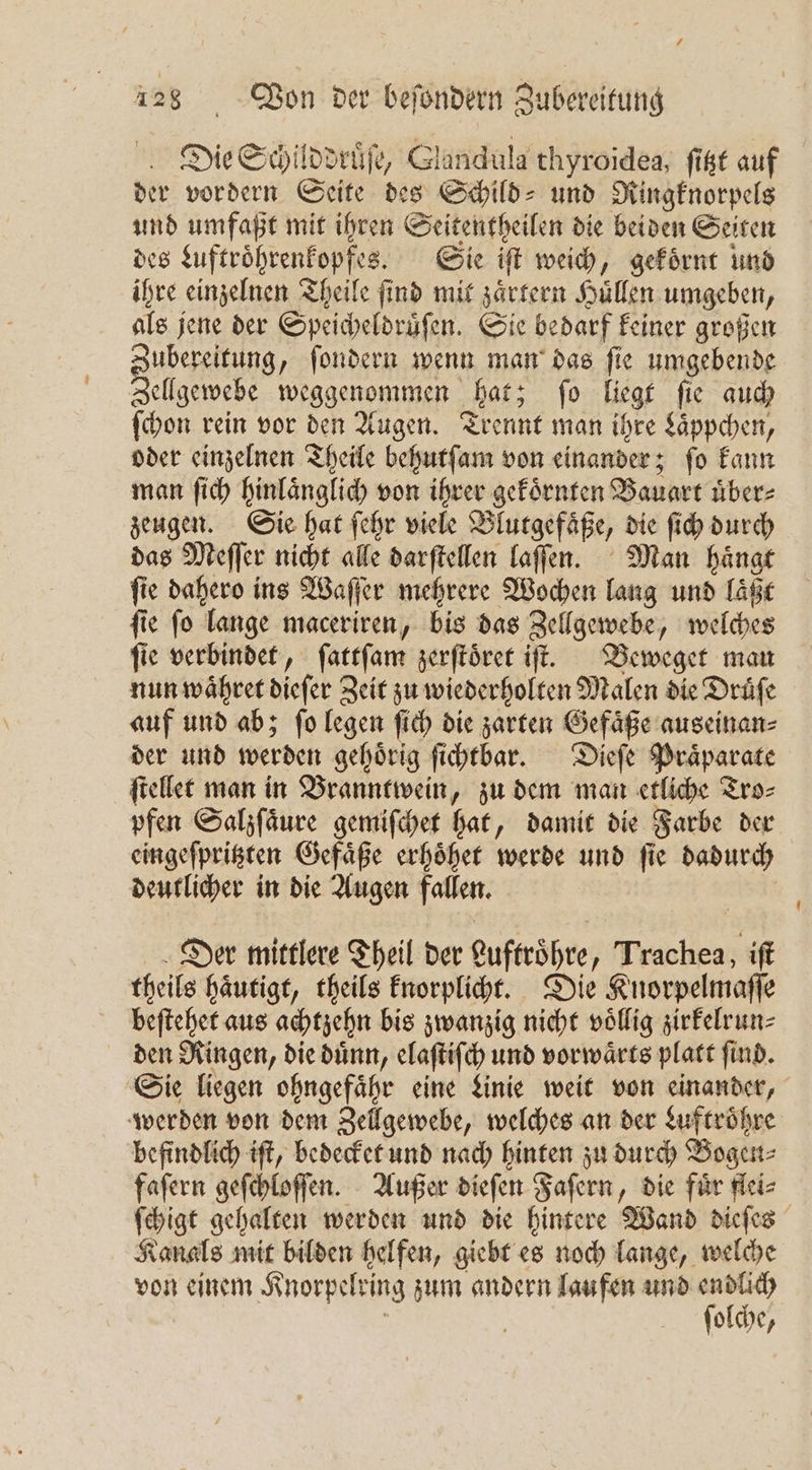 Die Schilddruͤſe, Glandula thyroidea, ſitzt auf der vordern Seite des Schild- und Ringknorpels und umfaßt mit ihren Seitentheilen die beiden Seiten des Luftroͤhrenkopfes. Sie iſt weich, gekoͤrnt und ihre einzelnen Theile ſind mit zaͤrtern Huͤllen umgeben, als jene der Speicheldruͤſen. Sie bedarf keiner großen ee fondern wenn man das fie umgebende Zellgewebe weggenommen hat; ſo liegt ſie auch ſchon rein vor den Augen. Trennt man ihre Laͤppchen, oder einzelnen Theile behutſam von einander; ſo kann man ſich hinlaͤnglich von ihrer gekoͤrnten Bauart uͤber⸗ zeugen. Sie hat ſehr viele Blutgefaͤße, die ſich durch das Meſſer nicht alle darſtellen laſſen. Man haͤngt ſie dahero ins Waſſer mehrere Wochen lang und laͤßt fie fo lange maceriren, bis das Zellgewebe, welches fie verbindet, ſattſam zerſtoͤret iſt. Beweget man nun waͤhret dieſer Zeit zu wiederholten Malen die Druͤſe auf und ab; ſo legen ſich die zarten Gefaͤße auseinan⸗ der und werden gehoͤrig ſichtbar. Dieſe Praͤparate ſtellet man in Branntwein, zu dem man etliche Tro⸗ pfen Salzſaͤure gemiſchet hat, damit die Farbe der eingeſpritzten Gefaͤße erhoͤhet werde und ſie dadurch deutlicher in die Augen fallen. Der mittlere Theil der Luftroͤhre, Trachea, iſt theils haͤutigt, theils knorplicht. Die Knorpelmaſſe beſtehet aus achtzehn bis zwanzig nicht voͤllig zirkelrun⸗ den Ringen, die dünn, elaſtiſch und vorwärts platt find. Sie liegen ohngefaͤhr eine Linie weit von einander, werden von dem Zellgewebe, welches an der Luftroͤhre befindlich iſt, bedecket und nach hinten zu durch Bogen⸗ faſern geſchloſſen. Außer dieſen Faſern, die fuͤr flei⸗ ſchigt gehalten werden und die hintere Wand dieſes Kanals mit bilden helfen, giebt es noch lange, welche von einem Knorpelring zum andern laufen und endlich | | ſolche,