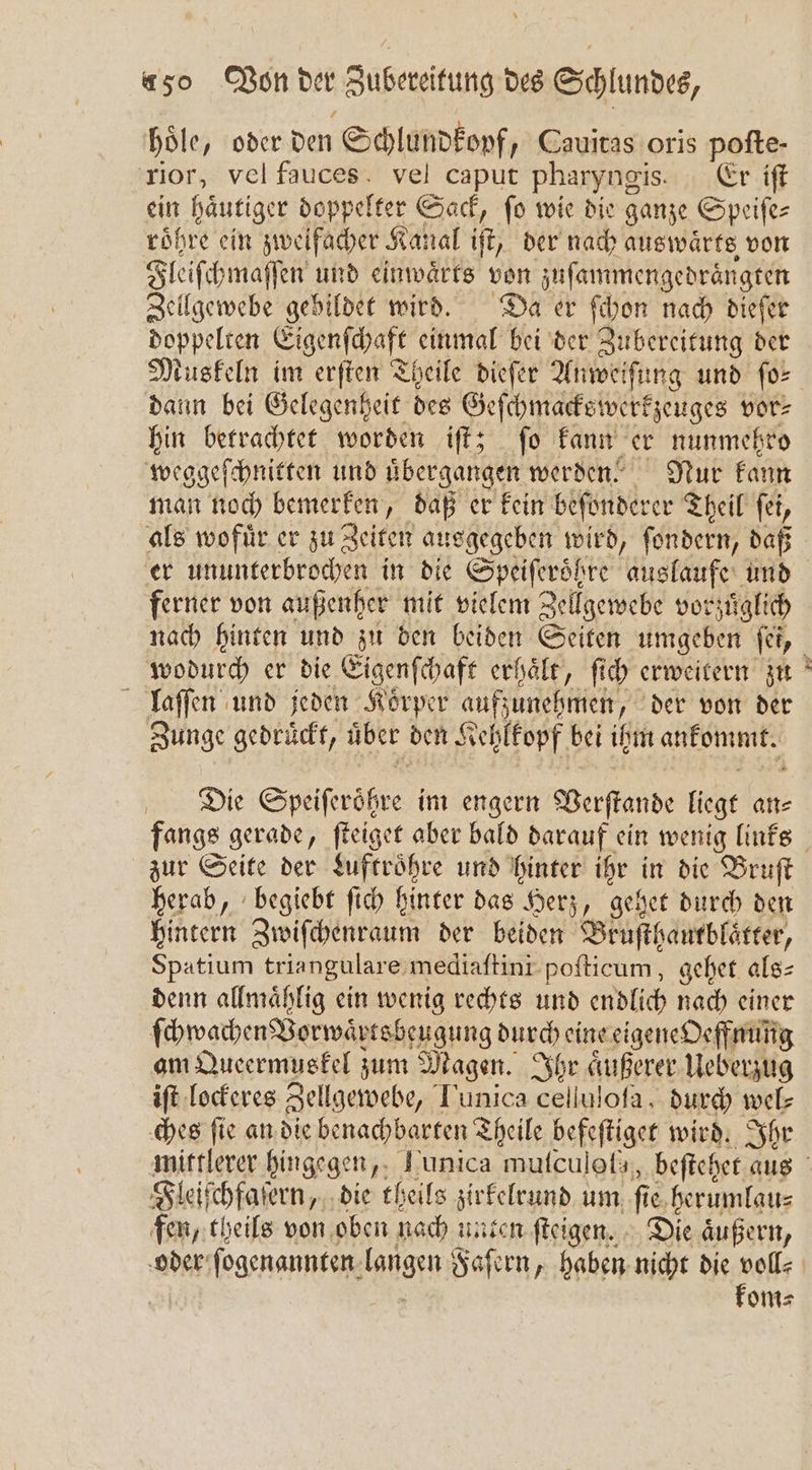 hoͤle, oder den ‚Shlundtonf, Cauitas oris pofte- rior, vel fauces vel caput pharyngis. Er iſt ein haͤutiger doppelter Sack, fo wie die ganze Speifes roͤhre ein zweifacher Kanal iſt, der nach auswaͤrts von Fleiſchma ſſen und einwaͤrts von zuſammengedraͤngten Zellgewebe gebildet wird. Da er ſchon nach dieſer doppelten Eigenſchaft einmal bei der Zubereitung der Muskeln im erſten Theile dieſer Anweiſung und ſo⸗ dann bei Gelegenheit des Geſchmackswerkzeuges vor⸗ hin betrachtet worden iſt; ſo kann er nunmehro weggeſchnitten und uͤbergangen werden. Nur kann man noch bemerken, daß er kein beſonderer Theil fei, als wofür er zu Zeiten ausgegeben wird, ſondern, daß ferner von außenher mit vielem Zellgewebe vorzuͤglich nach hinten und zu den beiden Seiten umgeben ſei, wodurch er die Eigenſchaft erhaͤlt, ſich erweitern zu laſſen und jeden Koͤrper aufzunehmen, „der von der Zunge gedruͤckt, über den Kel hlkopf bei ihm ankommk. Die Spiſe ae im engern Berffande lege an⸗ * zur Seite der Luftroͤhre und hinter ihr in die Bruſt herab, begiebt ſich hinter das Herz, gehet durch den hintern Zwiſchenraum der beiden Bruſthautblaͤtter, Spatium triangulare mediaſtini poſticum, gehet ale- denn allmaͤhlig ein wenig rechts und endlich nach einer ſchwachen Vorwaͤrtsbeugung durch eine eigene Oeffnung am Queermuskel zum Magen. Ihr aͤußerer Ueberzug iſt lockeres Zellgewebe, Tunica celluloſa, durch wel⸗ ches ſie an die benachbarten Theile befeſtiget wird. Ihr Fleiſchfaſern, die theils zirkelrund um fi e herumlau⸗ fen, theils von oben nach unten ſteigen. Die aͤußern, kom⸗