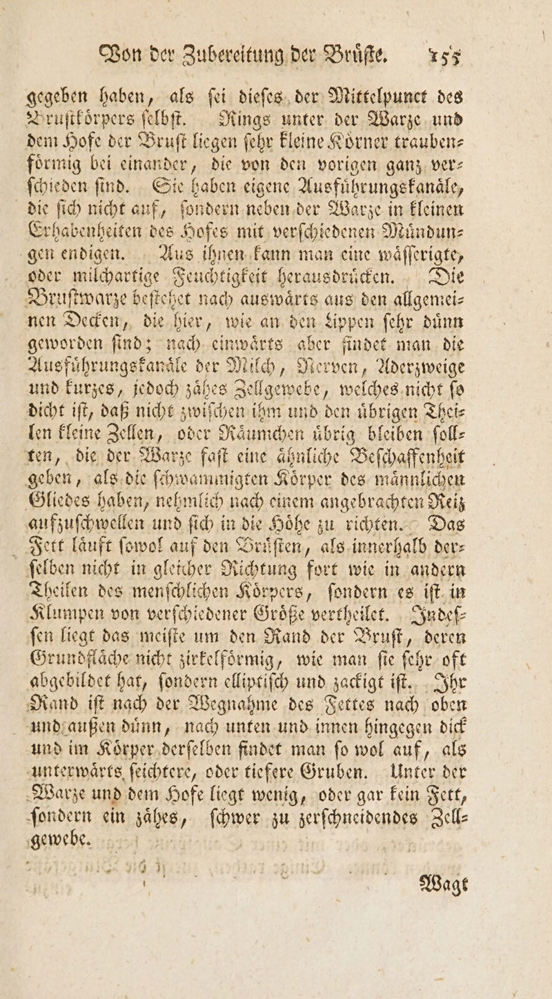 gegeben haben, als ſei dieſes der Mittelpunct des Druſtkoͤrpers ſelbſt. Rings unter der Warze und dem Hofe der Bruſt liegen ſehr kleine Koͤrner trauben⸗ foͤrmig bei einander, die von den vorigen ganz ver⸗ ſchieden ſind. Sie haben eigene Ausfuͤhrungskanaͤle, die ſich nicht auf, ſondern neben der Warze in kleinen Erhabenheiten des Hofes mit verſchiedenen Muͤndun⸗ gen endigen. Aus ihnen kann man eine waͤſſerigte, oder milchartige Feuchtigkeit herausdruͤcken. Die Bruſtwarze beſteßet nach auswaͤrts aus den allgemei⸗ nen Decken, die hier, wie an den Lippen ſehr dünn geworden ſind; nach einwaͤrts aber findet man die Ausfuͤhrungskanaͤle der Milch, Nerven, Aderzweige und kurzes, jedoch zaͤhes Zellgewebe, welches nicht ſo dicht iſt, daß nicht zwiſchen ihm und den uͤbrigen Thei⸗ len kleine Zellen, oder Raͤumchen uͤbrig bleiben ſoll⸗ ten, die der Warze faſt eine ahnliche Beſchaffenheit geben, als die ſchwammigten Körper des maͤnnlichen Gliedes haben, nehmlich nach einem angebrachten Reiz aufzuſchwellen und ſich in die Hoͤhe zu richten. Das Fett laͤuft ſowol auf den Bruͤſten, als innerhalb der⸗ ſelben nicht in gleicher Richtung fort wie in andern Theilen des menſchlichen Koͤrpers, ſondern es iſt in Klumpen von verſchiedener Größe vertheilet. Indeſ⸗ ſen liegt das meiſte um den Rand der Bruſt, deren Grundflaͤche nicht zirkelfoͤrmig, wie man ſie ſehr oft abgebildet hat, ſondern elliptiſch und zackigt iſt. Ihr Rand iſt nach der Wegnahme des Fettes nach oben und außen duͤnn, nach unten und innen hingegen dick und im Koͤrper derſelben findet man ſo wol auf, als unterwaͤrts ſeichtere, oder tiefere Gruben. Unter der Warze und dem Hofe liegt wenig, oder gar kein Fett, ſondern ein zaͤhes, ſchwer zu zerſchneidendes Zell— gewebe. | | 395 , a