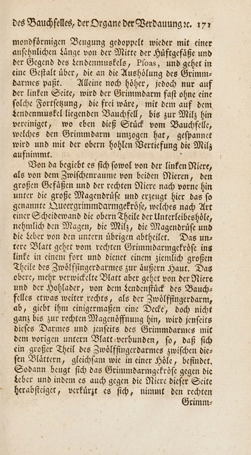 — mondfoͤrmigen Beugung gedoppelt wieder mit einer anſehnlichen Laͤnge von der Mitte der Huͤftgefaͤße und der Gegend des dendenmuskels, Pfoas, und gehet in eine Geſtalt über, die an die Aushoͤlung des Grimm: darmes paßt. Alleine noch hoͤher, jedoch nur auf der linken Seite, wird der Grimmdarm faſt ohne eine Lendenmuskel liegenden Bauchfell, bis zur Milz hin vereiniget, wo eben dieß Stuͤck vom Bauchfelle, welches den Grimmdarm umzogen hat, geſpannet wird und mit der obern hohlen Vertiefung die Milz aufnimmt. | 5 Von da begiebt es ſich ſowol von der linken Niere, als von dem Zwiſchenraume von beiden Nieren, den großen Gefaͤßen und der rechten Niere nach vorne hin unter die große Magendruͤſe und erzeugt hier das ſo genannte Queergrimmdarmgekroͤſe, welches nach Art einer Scheidewand die obern Theile der Unterleibeshoͤle, nehmlich den Magen, die Milz, die Magendruͤſe und die Leber von den untern uͤbrigen abtheilet. Das un⸗ tere Blatt gehet vom rechten Grimmdarmgekroͤſe ins linke in einem fort und dienet einem ziemlich großen Theile des Zwoͤlfſingerdarmes zur äußern Haut. Das obere, mehr verwickelte Blatt aber gehet von der Niere und der Hohlader, von dem Lendenſtuͤck des Bauch— felles etwas weiter rechts, als der Zwoͤlffingerdarm, ab, giebt ihm einigermaßen eine Decke, doch nicht ganz bis zur rechten Magenoͤffnung hin, wird jenſeits dieſes Darmes und jenſeits des Grimmdarmes mit dem vorigen untern Blatt verbunden, ſo, daß ſich ein großer Theil des Zwoͤlffingerdarmes zwiſchen die— ſen Blaͤttern, gleichſam wie in einer Hoͤle, befindet. Sodann beugt ſich das Grimmdarmgekroͤſe gegen die Leber und indem es auch gegen die Niere dieſer Seite herabſteiget, verkuͤrzt es ſich, nimmt den rechten Grimm⸗