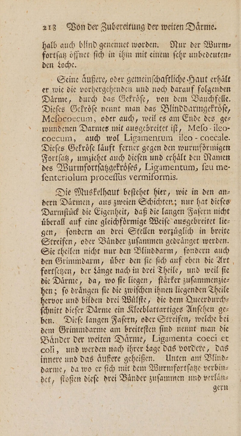 halb auch blind genennet worden. Nur der Wurm⸗ fortſatz offnet ſich in ihm mit einem ſehr unbedeuten⸗ den Loche. Seine aͤußere, oder gemeinſchaftliche Haut erhaͤlt er wie die vorhergehenden und noch darauf folgenden Daͤrme, durch das Gekroͤſe, von dem Bauchfelle. Dieſes Gekroͤſe nennt man das Blinddaringekroͤſe, Melocoecum, oder auch, weil es am Ende des ge⸗ coecum, auch wol Ligamentum ileo- caecale. Dieſes Gekroͤſe laͤuft ferner gegen den wurmfoͤrmigen Fortſatz, umziehet auch dieſen und erhaͤlt den Namen des Wurmfortſatzgekroͤſes, Ligamentum, ſeu me- ſenteriolum proceſſus vermiformis. Die Muskelhaut beſtehet hier, wie in den an⸗ dern Daͤrmen, aus zweien Schichten; nur hat dieſes Darmſtuͤck die Eigenheit, daß die langen Faſern nicht überall auf eine gleichfoͤrmige Weiſe ausgebreitet lie⸗ gen, ſondern an drei Stellen vorzuͤglich in breite Streifen, oder Baͤnder zuſammen gedraͤnget werden. Sie theilen nicht nur den Blinddarm, ſondern auch den Grimmdarm, uͤber den ſie ſich auf eben die Art fortſetzen, der Laͤnge nach in drei Theile, und weil ſie die Daͤrme, da, wo ſie liegen, ſtaͤrker zuſammenzie⸗ hen; ſo draͤngen ſie die zwiſchen ihnen liegenden Theile hervor und bilden drei Wuͤlſte, die dem Queerdurch⸗ ſchnitt dieſer Daͤrme ein Kleeblattartiges Anſehen ges ben. Dieſe langen Faſern, oder Streifen, welche bei dem Grimmdarme am breiteſten ſind nennt man die Baͤnder der weiten Daͤrme, Ligamenta coeci et coli, und werden nach ihrer Lage das vordere, das darme, da wo er ſich mit dem Wurmfortſatze verbin⸗ det, ſtoßen dieſe drei Bänder zuſammen und verlaͤn⸗ . ER gern