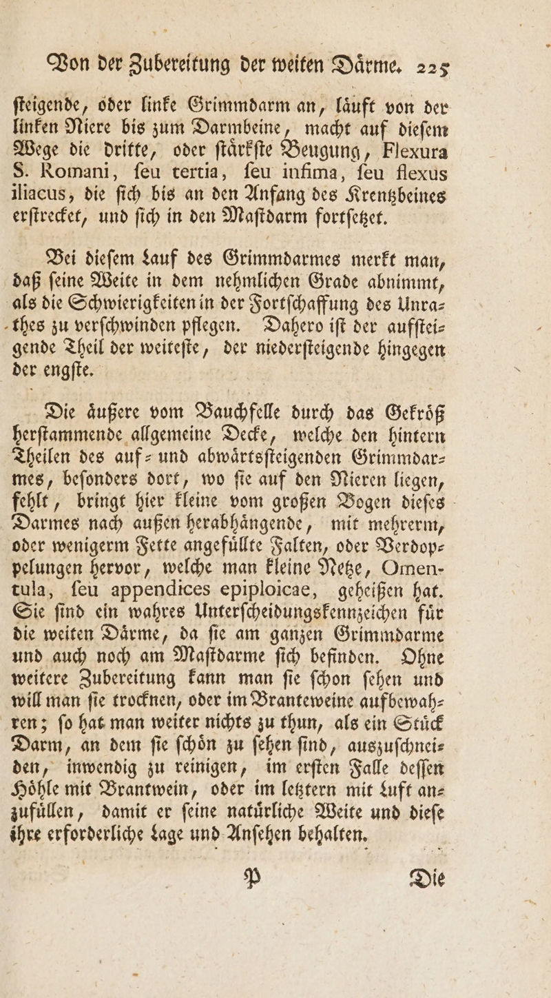 ſteigende, oder linke Grimmdarm an, laͤuft von der linken Niere bis zum Darmbeine, macht auf dieſem Wege die dritte, oder ſtaͤrkſte Beugung, Flexura S. Romani, ſeu tertia, ſeu infima, ſeu flexus iliacus, die ſich bis an den Anfang des Krentzbeines erſtrecket, und ſich in den Maſtdarm fortſetzet. Bei dieſem Lauf des Grimmdarmes merkt man, daß ſeine Weite in dem nehmlichen Grade abnimmt, als die Schwierigkeiten in der Fortſchaffung des Unra— thes zu verſchwinden pflegen. Dahero ift der aufſtei⸗ gende Theil der weiteſte, der niederſteigende hingegen der engſte. | Die äußere vom Bauchfelle durch das Gekroͤß herſtammende allgemeine Decke, welche den hintern Theilen des auf- und abwaͤrtsſteigenden Grimmdar⸗ mes, beſonders dort, wo fie auf den Nieren liegen, fehlt, bringt hier kleine vom großen Bogen dieſes Darmes nach außen herabhaͤngende, mit mehrerm, oder wenigerm Fette angefuͤllte Falten, oder Verdop⸗ pelungen hervor, welche man kleine Netze, Omen- tula, ſeu appendices epiploicae, geheißen hat. Sie ſind ein wahres Unterſcheidungskennzeichen fuͤr die weiten Daͤrme, da ſie am ganzen Grimmdarme und auch noch am Maſtdarme ſich befinden. Ohne weitere Zubereitung kann man ſie ſchon ſehen und will man ſie trocknen, oder im Branteweine aufbewah⸗ ren; ſo hat man weiter nichts zu thun, als ein Stuͤck Darm, an dem ſie ſchoͤn zu ſehen ſind, auszuſchnei⸗ den, inwendig zu reinigen, im erſten Falle deſſen Hoͤhle mit Brantwein, oder im letztern mit Luft an⸗ zufuͤlen, damit er ſeine natuͤrliche Weite und dieſe ihre erforderliche dage und Anſehen behalten. P Die