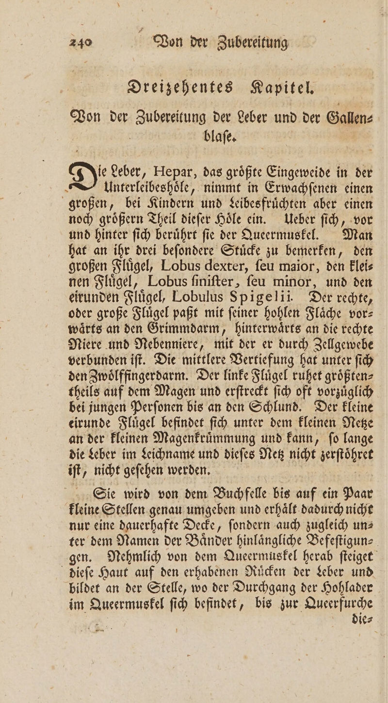 Dreizehentes Kapitel. Von der Zubereitung der Leber und der Gallen⸗ blaſe. ie Leber, Hepar, das größte Eingeweide in der Unterleibeshoͤle, nimmt in Erwachſenen einen großen, bei Kindern und Leibesfruͤchten aber einen noch groͤßern Theil dieſer Hoͤle ein. Ueber ſich, vor und hinter ſich beruͤhrt fie der Queermuskel. Man hat an ihr drei beſondere Stuͤcke zu bemerken, den großen Fluͤgel, Lobus dexter, ſeu maior, den klei⸗ nen Fluͤgel, Lobus ſiniſter, ſeu minor, und den eirunden Fluͤgel, Lobulus Spigelii. Der rechte, oder große Fluͤgel paßt mit ſeiner hohlen Flaͤche vor⸗ waͤrts an den Grimmdarm, hinterwaͤrts an die rechte Niere und Nebenniere, mit der er durch Zellgewebe verbunden iſt. Die mittlere Vertiefung hat unter ſich den Zwoͤlffingerdarm. Der linke Fluͤgel ruhet groͤßten⸗ theils auf dem Magen und erſtreckt ſich oft vorzüglich bei jungen Perſonen bis an den Schlund. Der kleine eirunde Fluͤgel befindet ſich unter dem kleinen Netze an der kleinen Magenkruͤmmung und kann, ſo lange die Leber im Leichname und dieſes Netz At Lerſtöhret iſt, nicht geſehen werden. Sie wird von dem Buchfelle bis auf ein Paar kleine Stellen genau umgeben und erhält. dadurch nicht nur eine dauerhafte Decke, ſondern auch zugleich un⸗ ter dem Namen der Baͤnder hinlaͤngliche Befeſtigun⸗ gen. Nehmlich von dem Queermuskel herab ſteiget dieſe Haut auf den erhabenen Ruͤcken der Leber und bildet an der Stelle, wo der Durchgang der Hohlader im e ſich befindet, bis zur &gt; is. 4 . —
