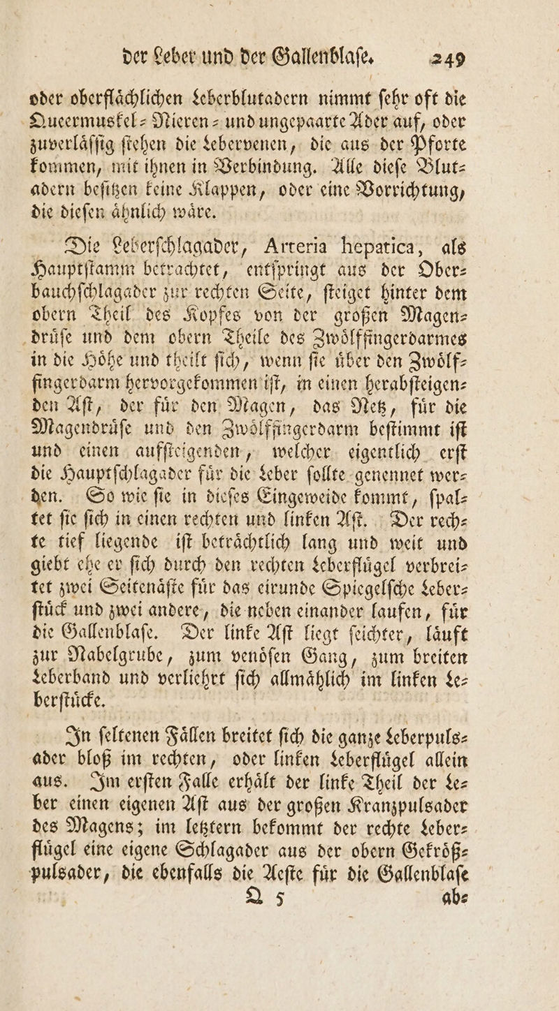oder oberflächlichen Leberblutadern nimmt ſehr oft die Queermuskel-Nieren- und ungepaarte Ader auf, oder zuverlaͤſſig ſtehen die Lebervenen, die aus der Pforte kommen, mit ihnen in Verbindung. Alle dieſe Blut— adern beſitzen keine Klappen, oder eine Vorrichtung, die dieſen aͤhnlich waͤre. Die Leberſchlagader, Arteria hepatica, als Hauptſtamm betrachtet, entſpringt aus der Ober: bauchſchlagader zur rechten Seite, ſteiget hinter dem obern Theil des Kopfes von der großen Magens druͤſe und dem obern Theile des Zwoͤlffingerdarmes in die Höhe und theilt ſich, wenn fie uͤber den Zwölf: fingerdarm hervorgekommen iſt, in einen herabſteigen⸗ den Aſt, der fuͤr den Magen, das Netz, fuͤr die Magendruͤſe und den Zwölffingerdarm beſtimmt iſt und einen aufſteigenden, welcher eigentlich erſt die Hauptſchlagader fuͤr die Leber ſollte genennet wer⸗ den. So wie ſie in dieſes Eingeweide kommt, ſpal⸗ tet fie ſich in einen rechten und linken Aſt. Der rech—⸗ te tief liegende iſt betraͤchtlich lang und weit und giebt ehe er ſich durch den rechten Leberfluͤgel verbrei⸗ tet zwei Seitenaͤſte fuͤr das eirunde Spiegelſche Leber— ſtuͤck und zwei andere, die neben einander laufen, fuͤr die Gallenblaſe. Der linke Aſt liegt ſeichter, laͤuft zur Nabelgrube, zum venoͤſen Gang, zum breiten Leberband und verliehrt ſich allmaͤhlich im linken Le⸗ berſtuͤcke. In ſeltenen Faͤllen breitet ſich die ganze Leberpuls⸗ ader bloß im rechten, oder linken Leberfluͤgel allein aus. Im erſten Falle erhält der linke Theil der Le— ber einen eigenen Aſt aus der großen Kranzpulsader des Magens; im letztern bekommt der rechte Leber— fluͤgel eine eigene Schlagader aus der obern Gekroͤß— pulsader, die ebenfalls 15 Aeſte für die Gallenblaf 7 5 ab⸗